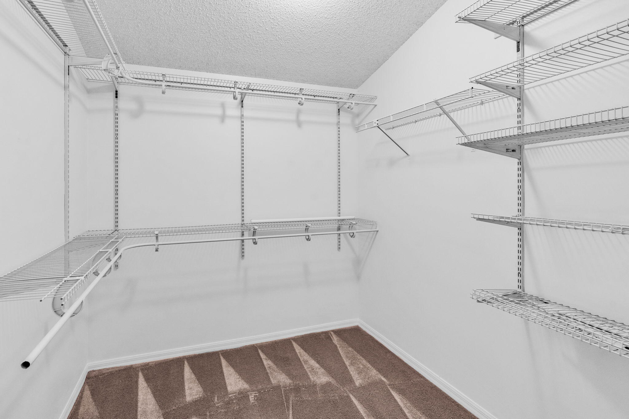 12382 Pleasant Green Way Property Photo 9