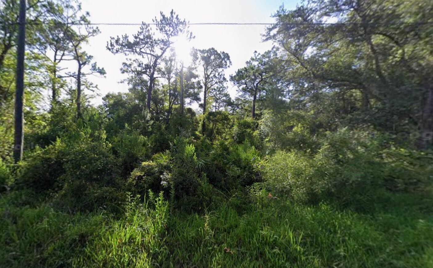 Tbd Atlee Street Property Photo 2