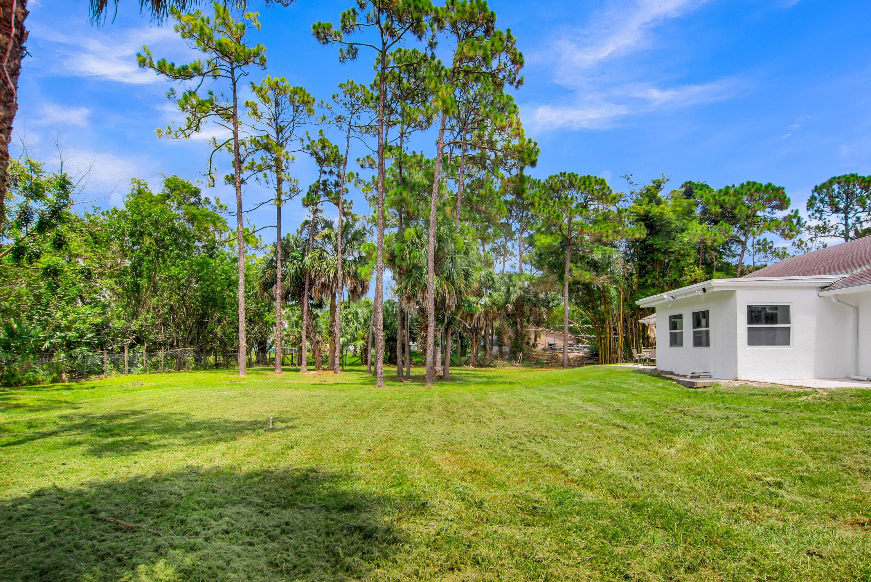 14817 97th Road N Property Photo 41