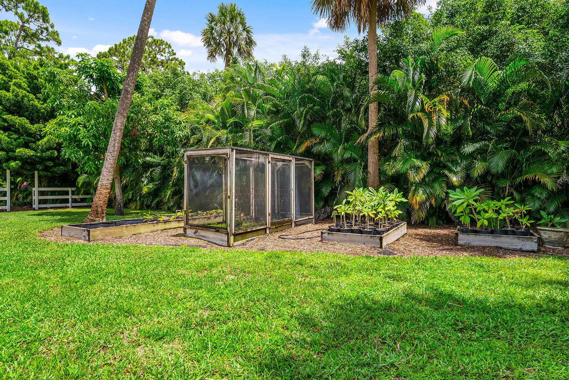 6624 Dillman Road Property Photo 62