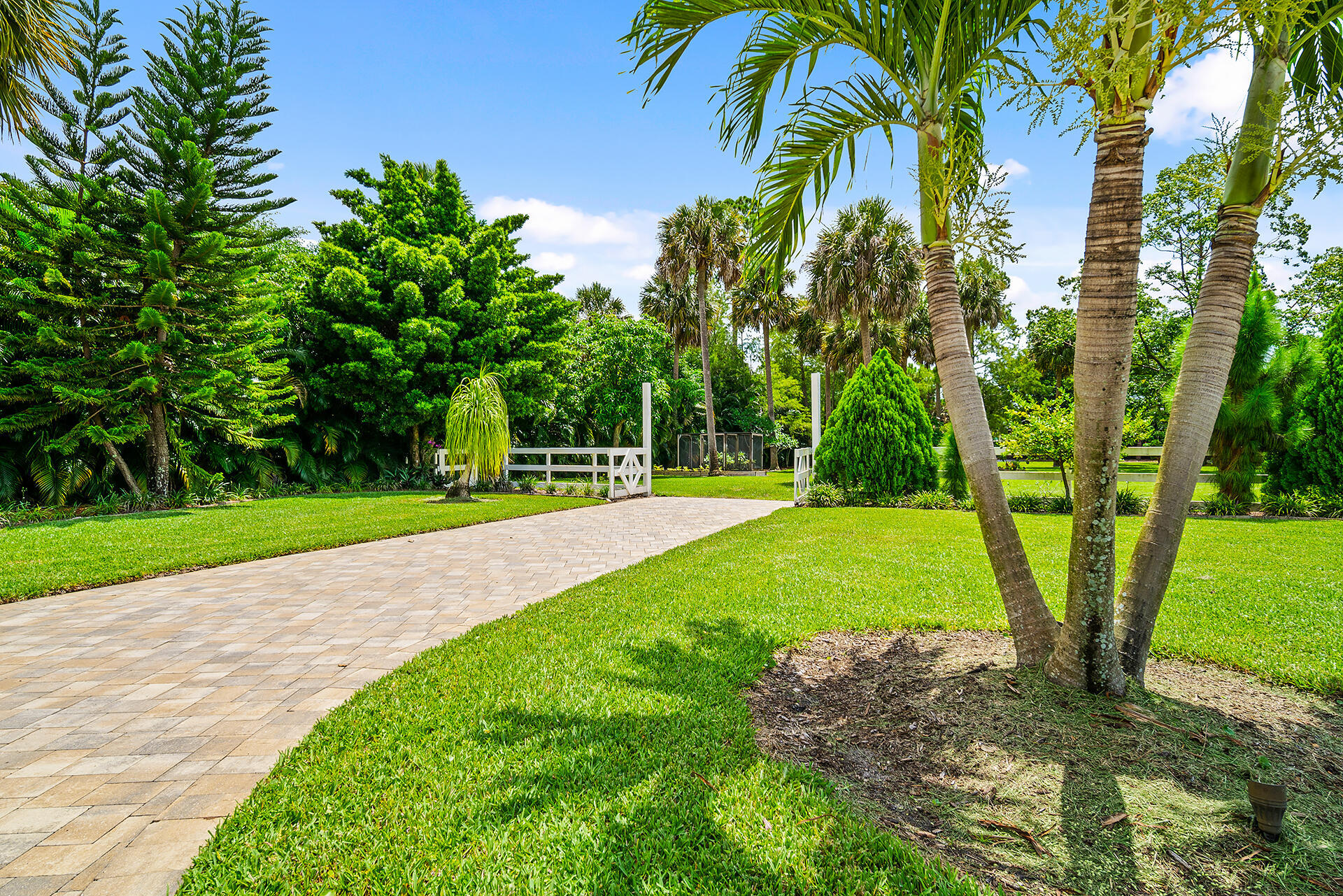 6624 Dillman Road Property Photo 68