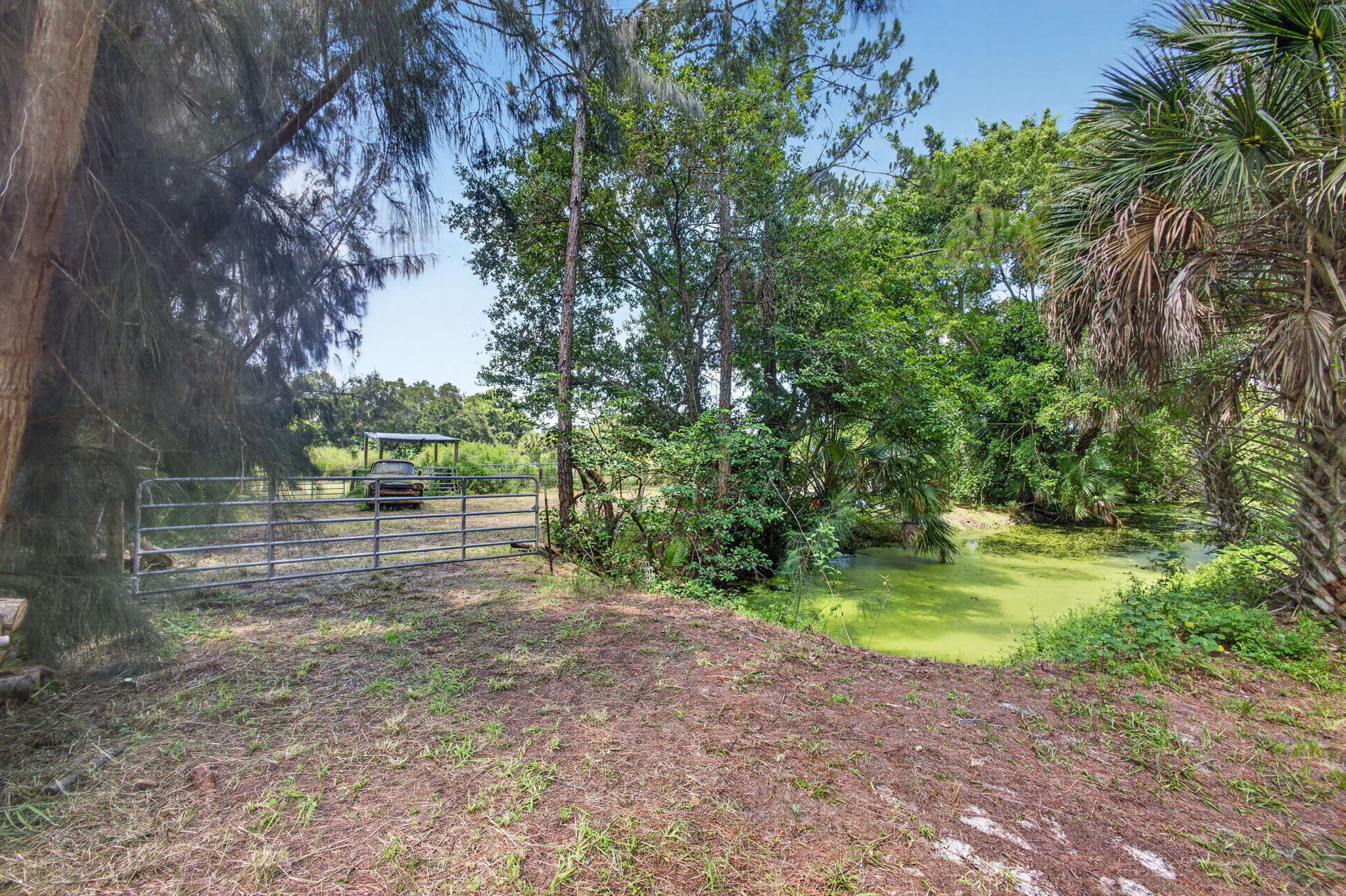 11030 89th Street N Property Photo 8