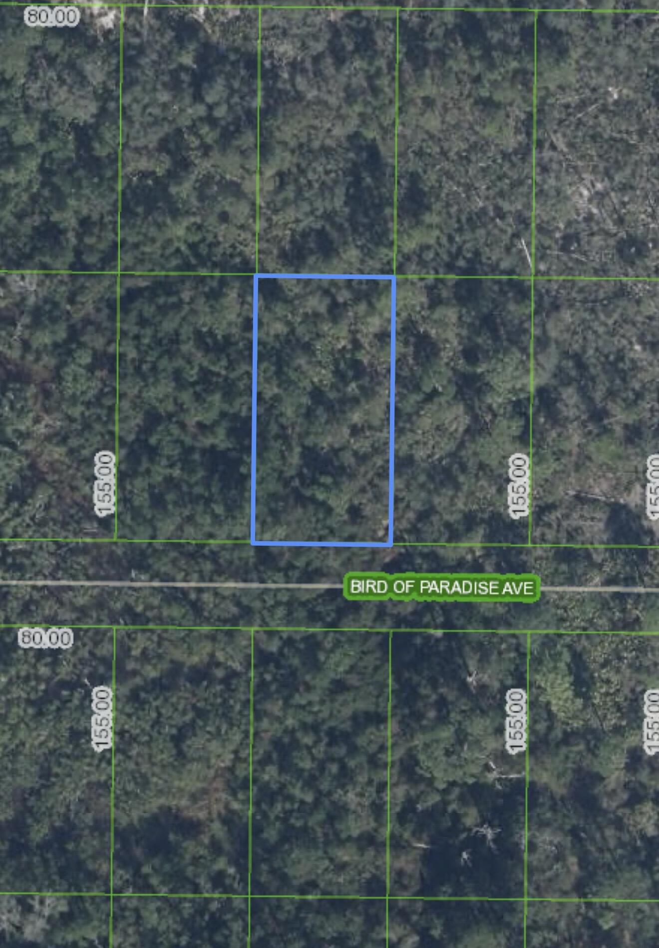 2330 Bird Of Paradise Avenue Property Photo 1