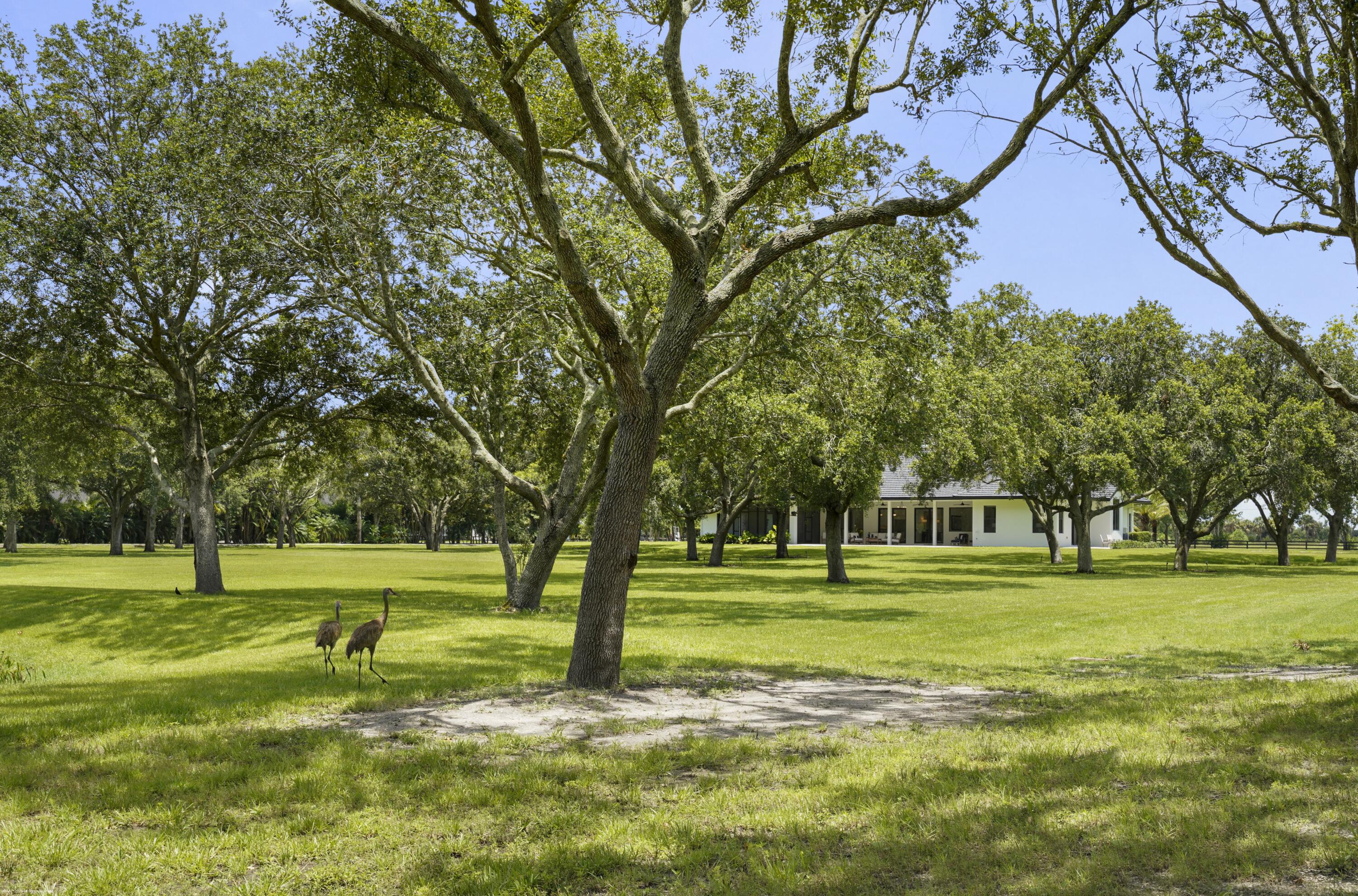 16451 Norris Road Property Photo 63