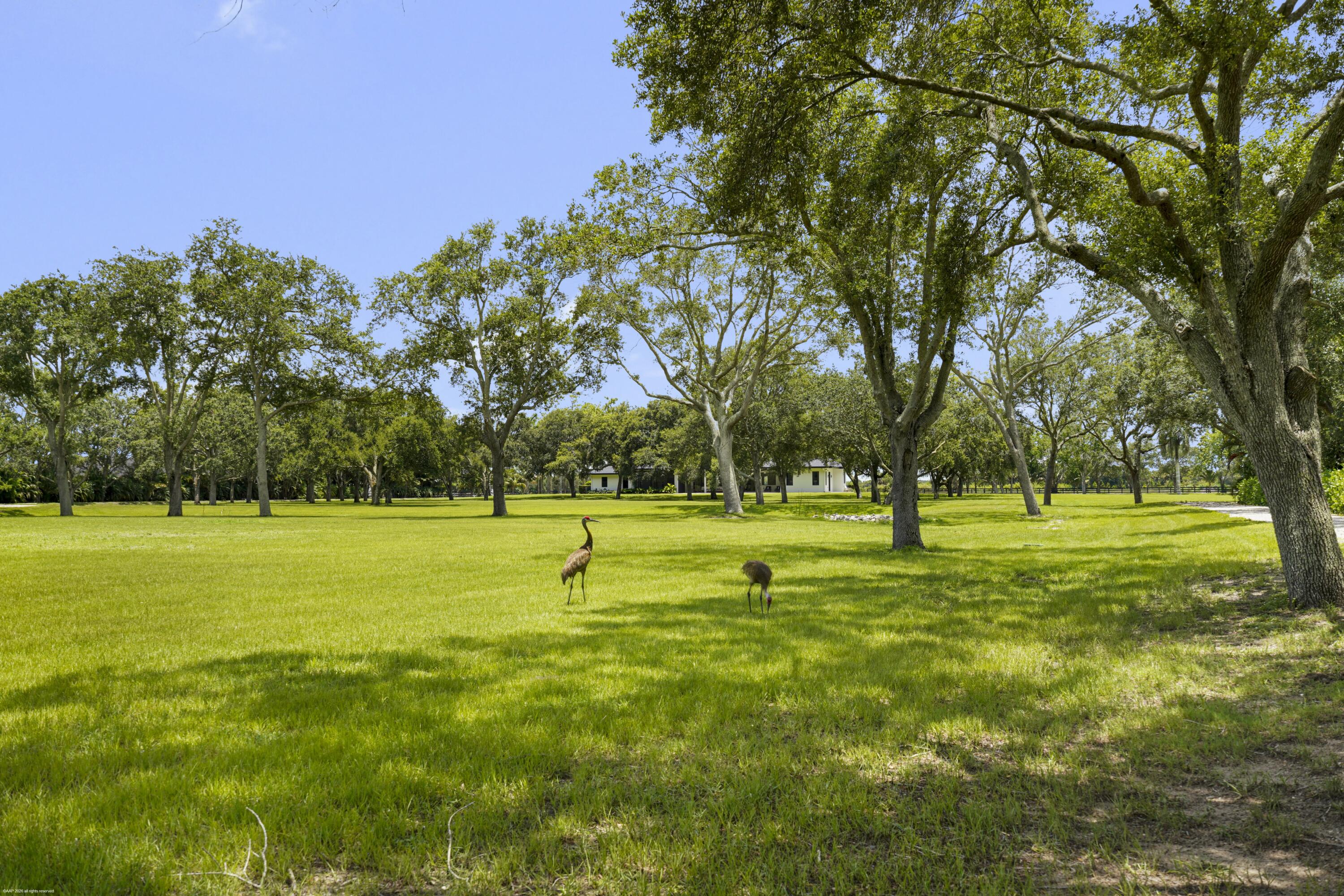 16451 Norris Road Property Photo 64