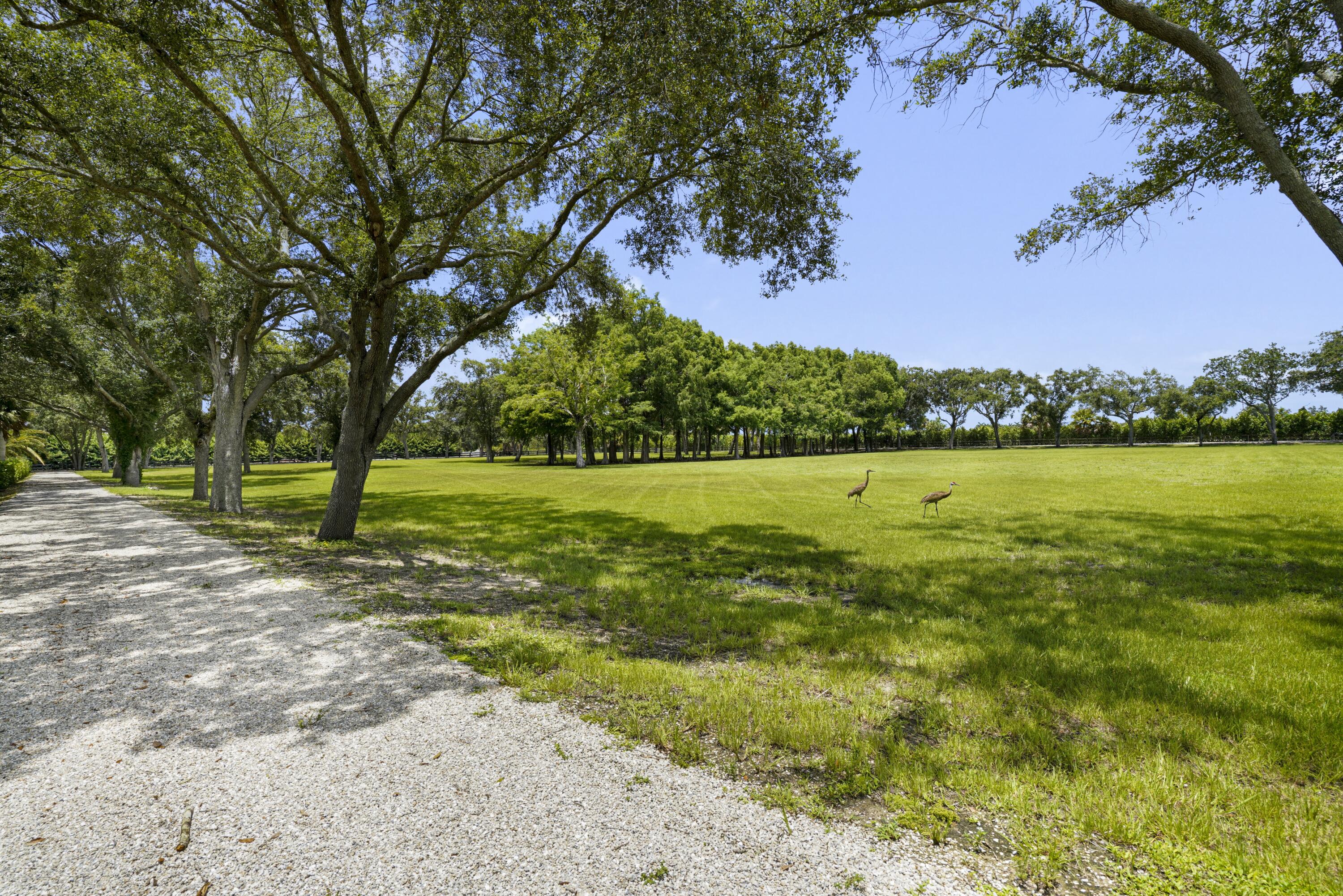 16451 Norris Road Property Photo 69