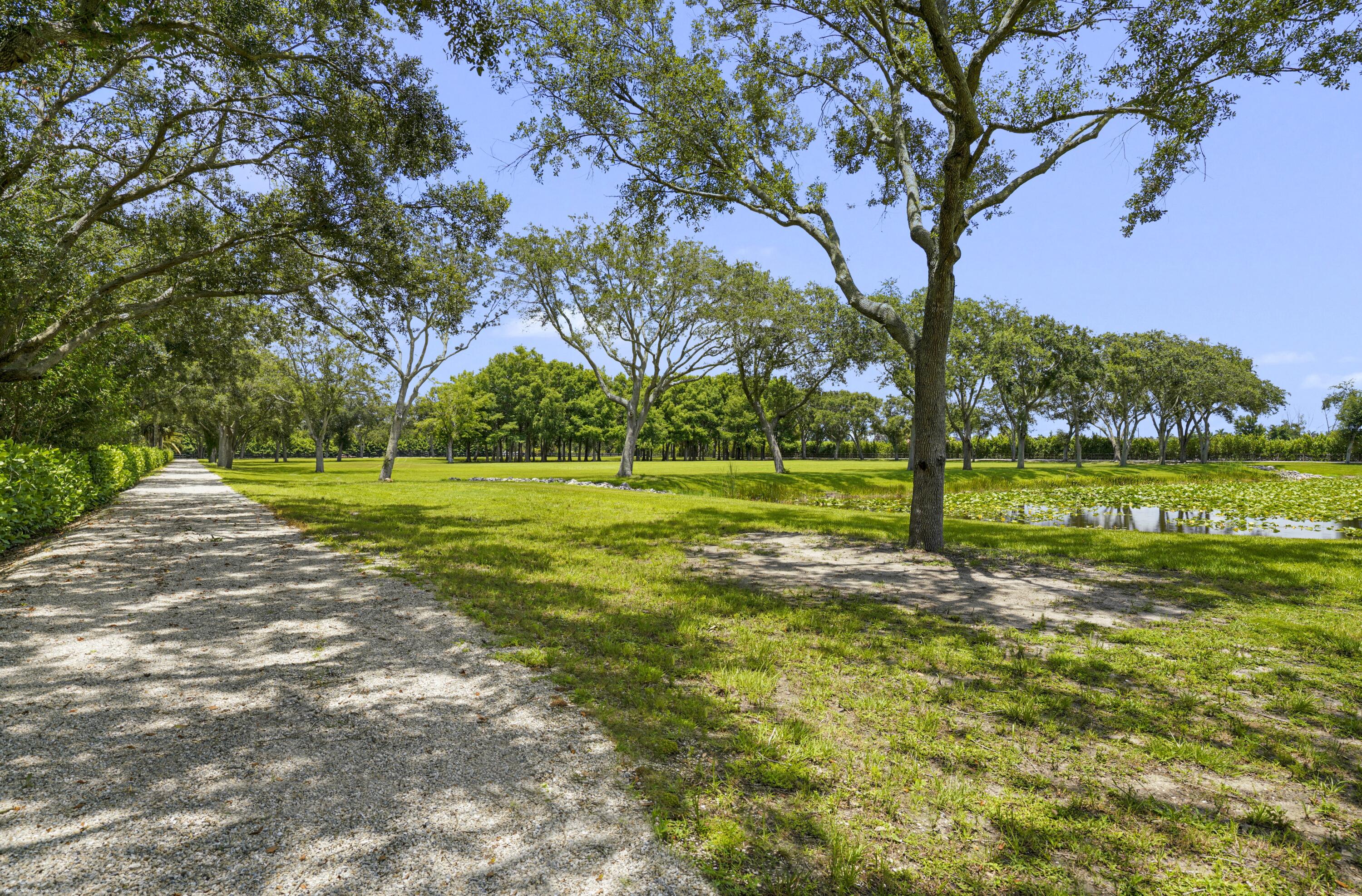 16451 Norris Road Property Photo 70