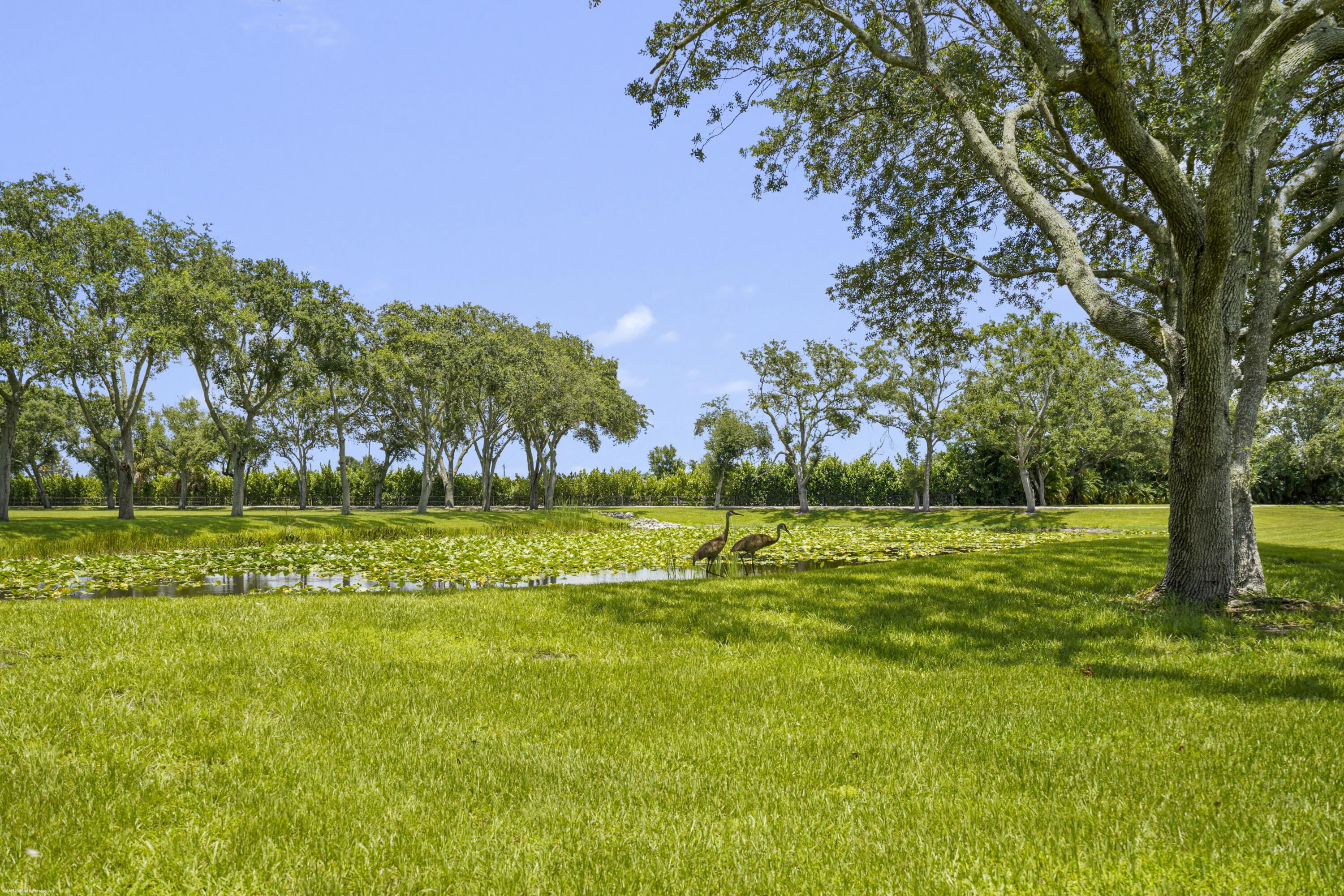 16451 Norris Road Property Photo 75