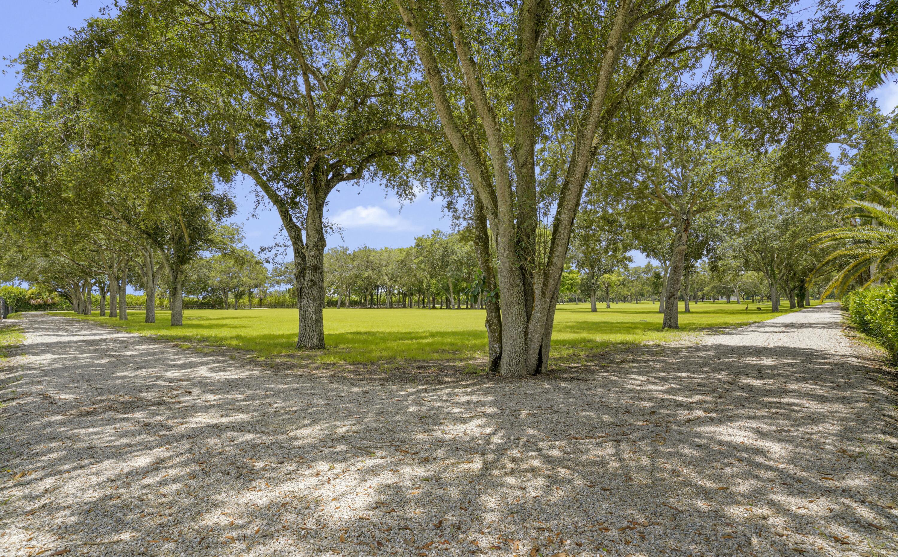 16451 Norris Road Property Photo 76