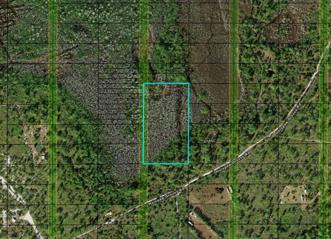 0 Holopaw Groves Road