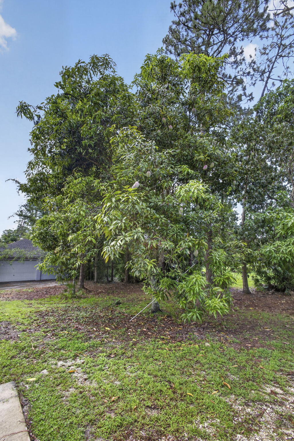 16571 78th Road N Property Photo 63