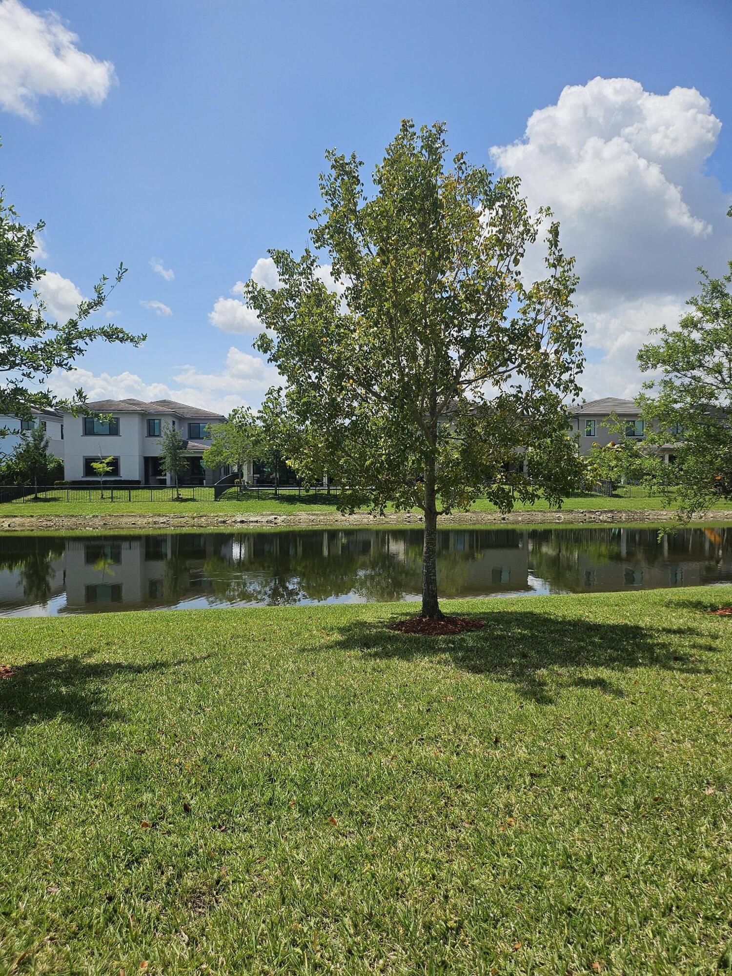 10930 Windward Street Property Photo 19