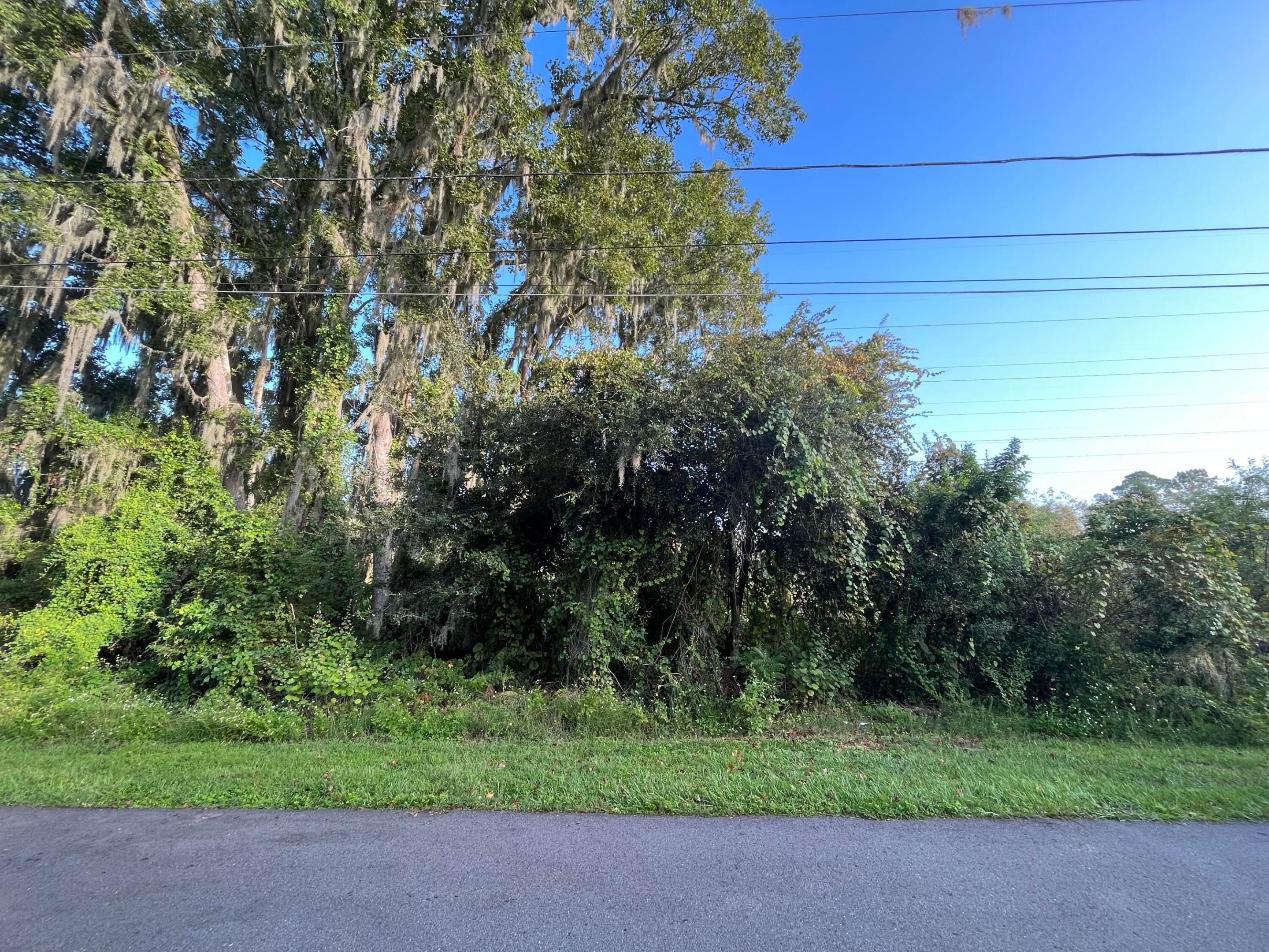 264 Toms Road Property Photo 3