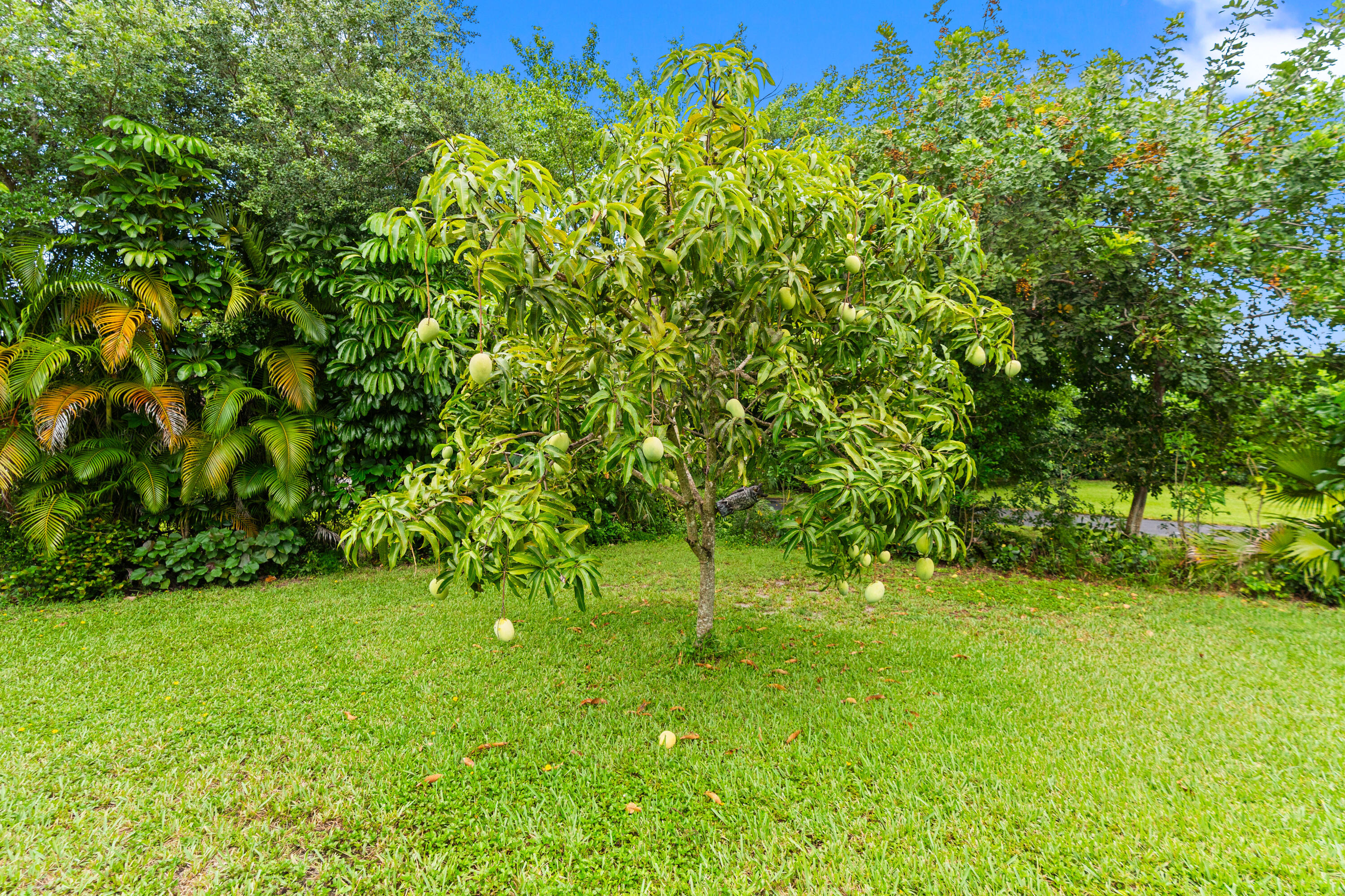 22829 Horse Shoe Way Property Photo 64