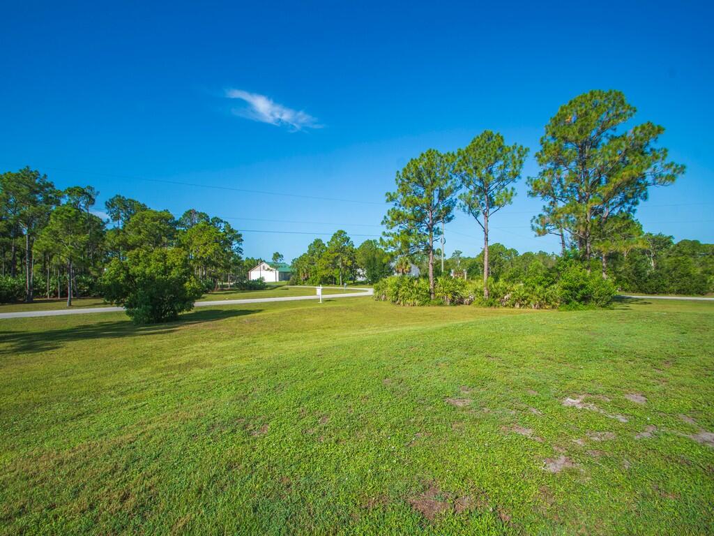 12274 Golden Eagle Street Property Photo 62