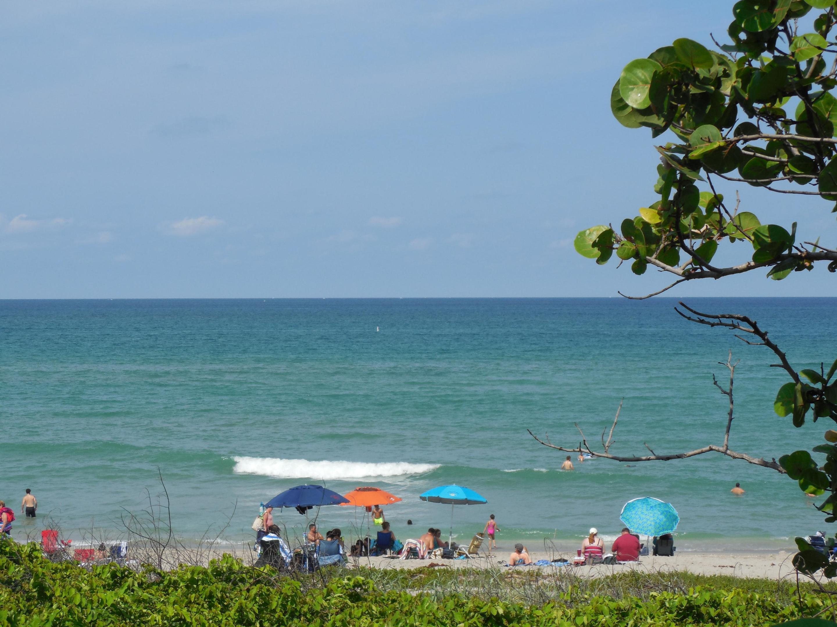 800 Juno Ocean Walk 301a Property Photo 37