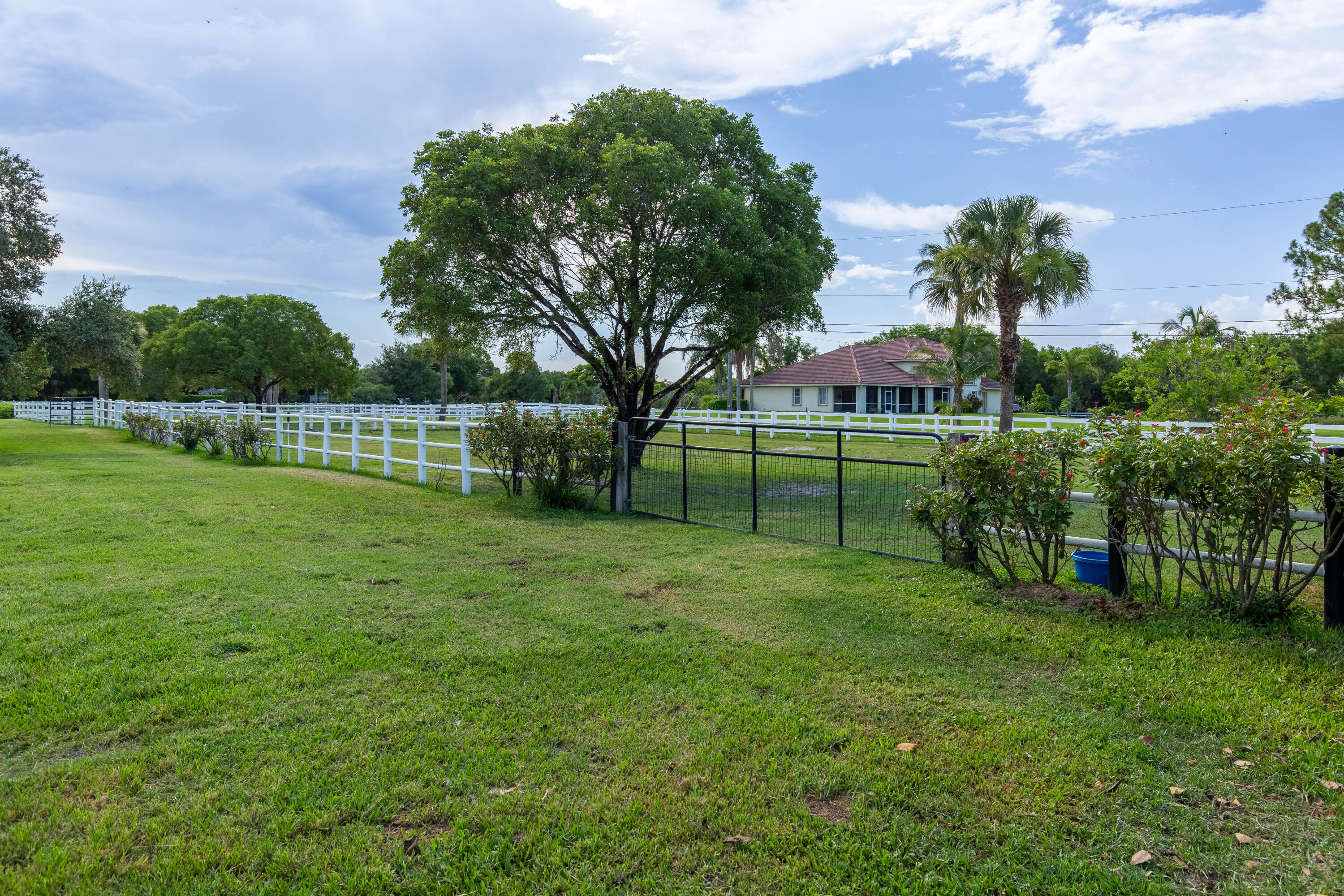 844 Arabian Drive Property Photo 15