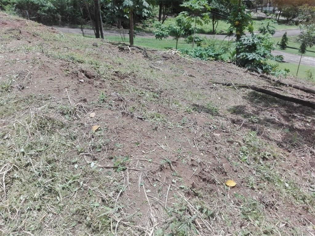 Lot E-7a Calle Del Cerro Con La Calle Diagonal Property Photo 3