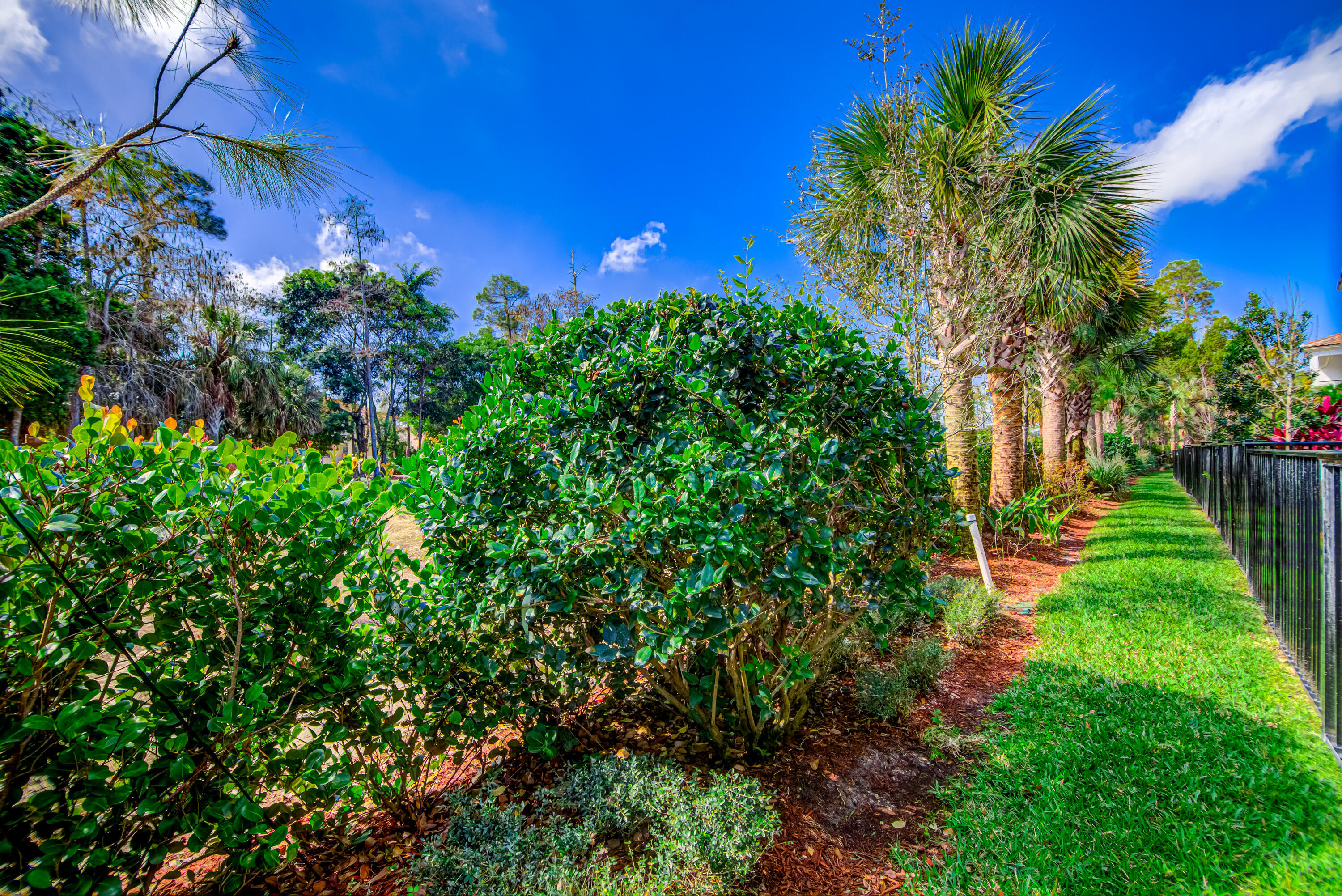 15688 Italian Cypress Way Property Photo 65