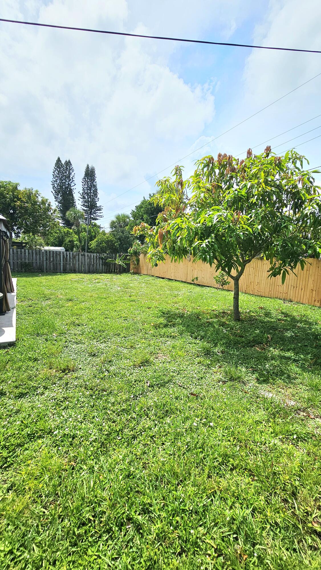 4679 Appaloosa Street Property Photo 18