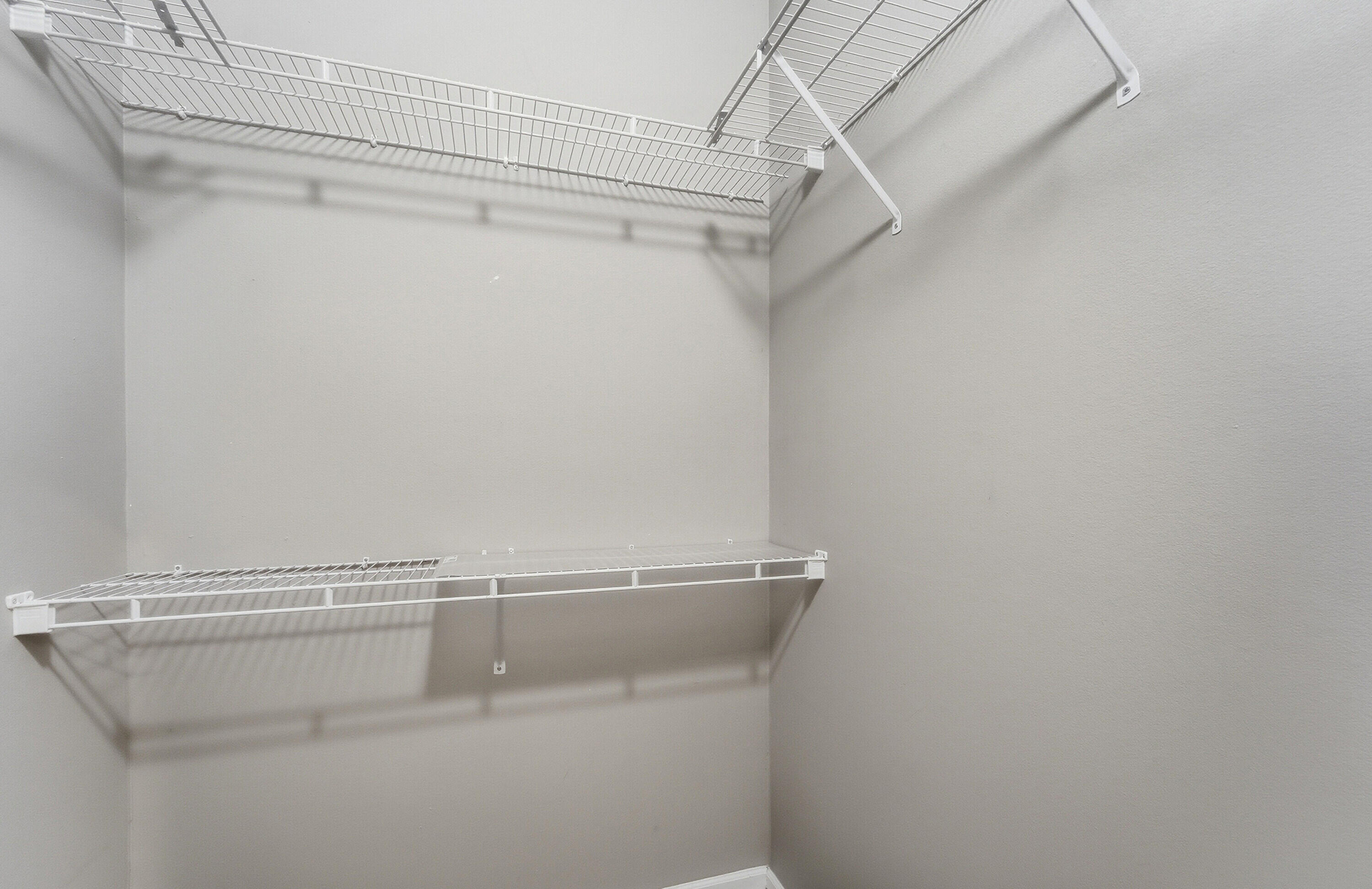 970 Tulip Circle Property Photo 14