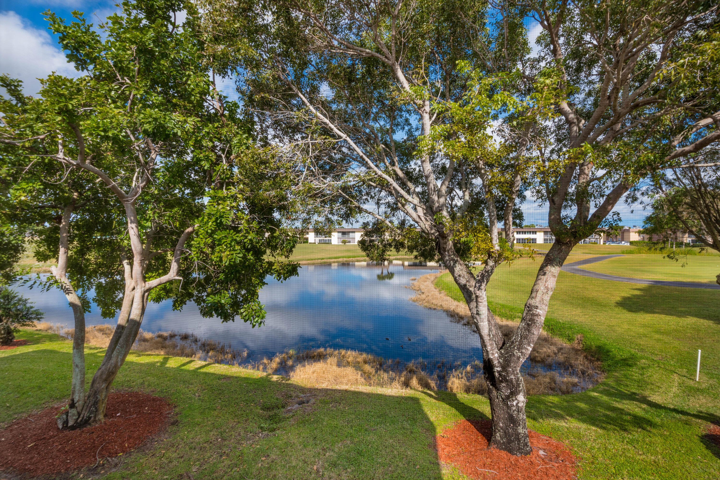 369 Capri H 369 Property Photo 22