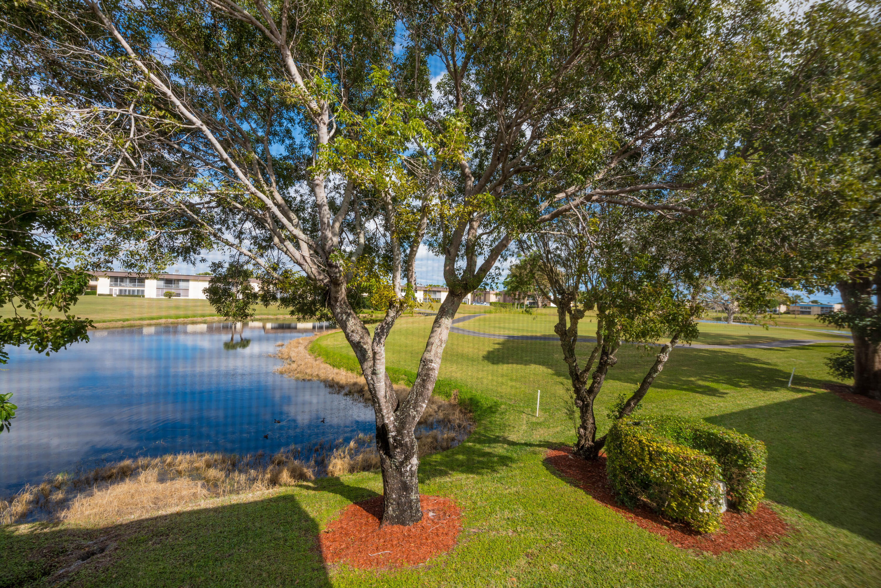 369 Capri H 369 Property Photo 24