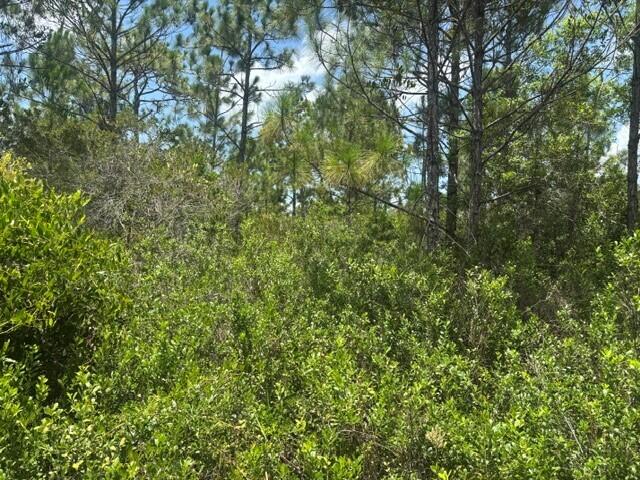 0 Holopaw Groves Road Property Photo 1