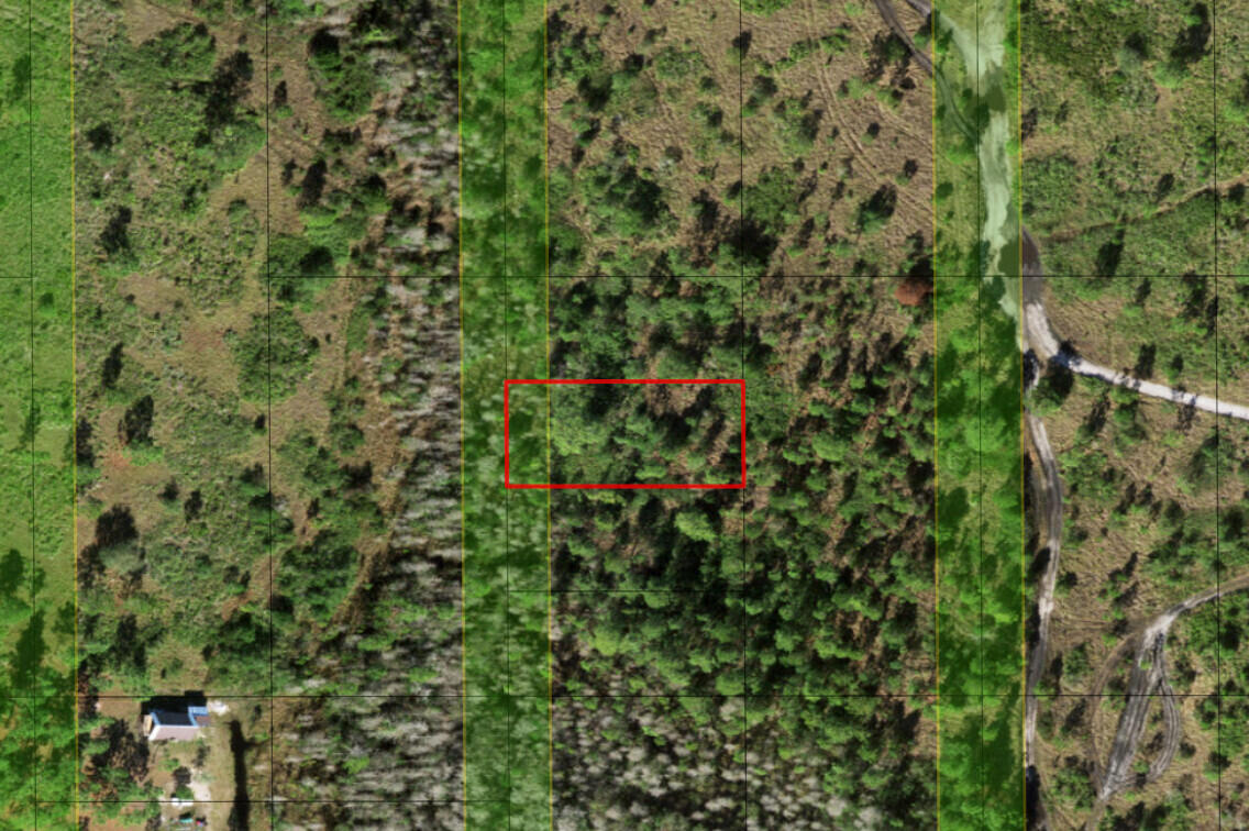 0 Holopaw Groves Road Property Photo 3