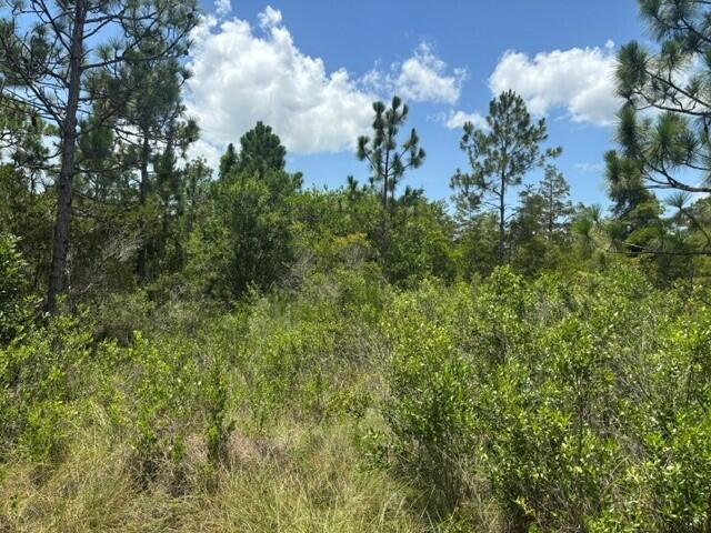 0 Holopaw Groves Road Property Photo 1
