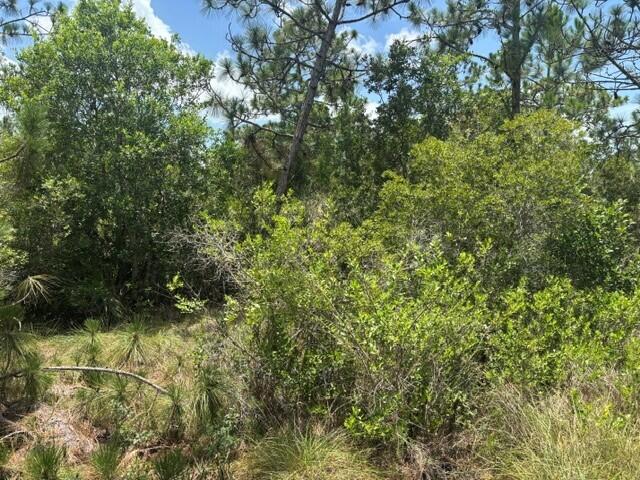 0 Holopaw Groves Road Property Photo 2