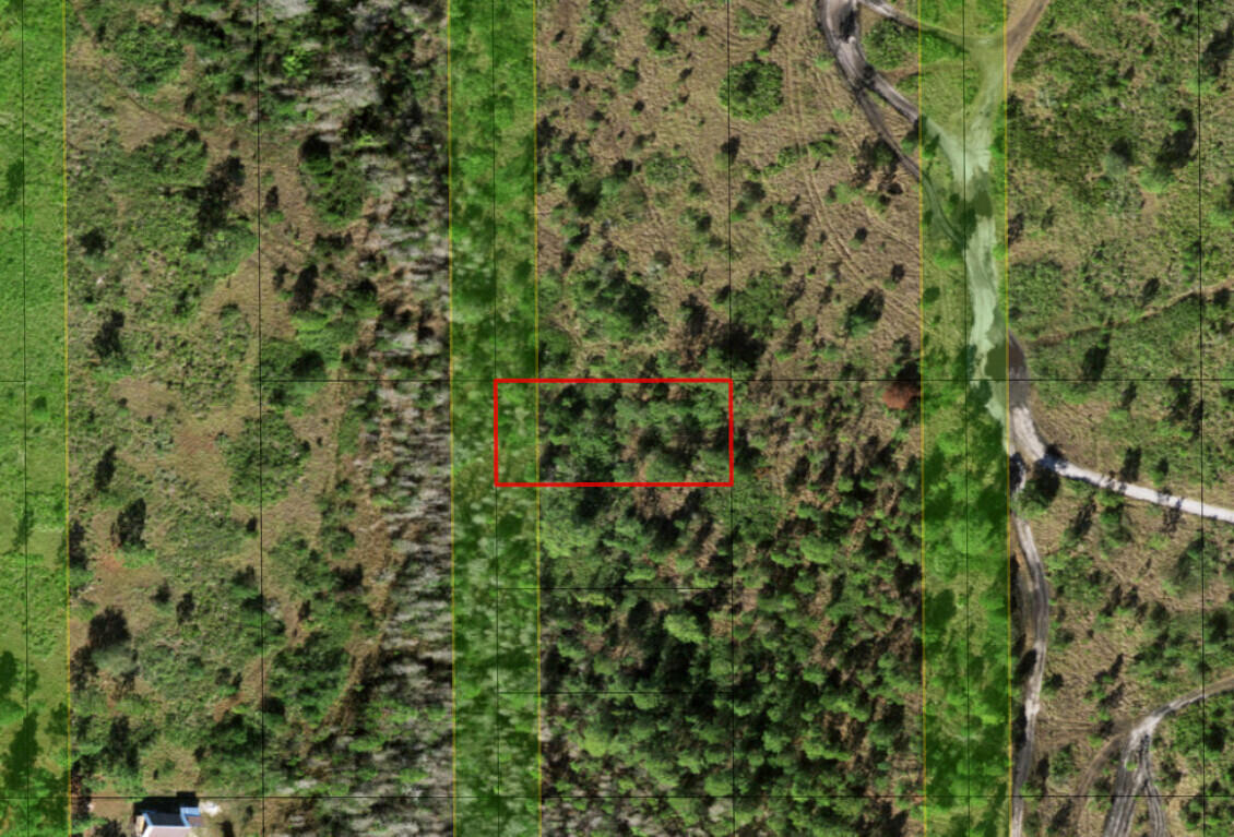 0 Holopaw Groves Road Property Photo 3