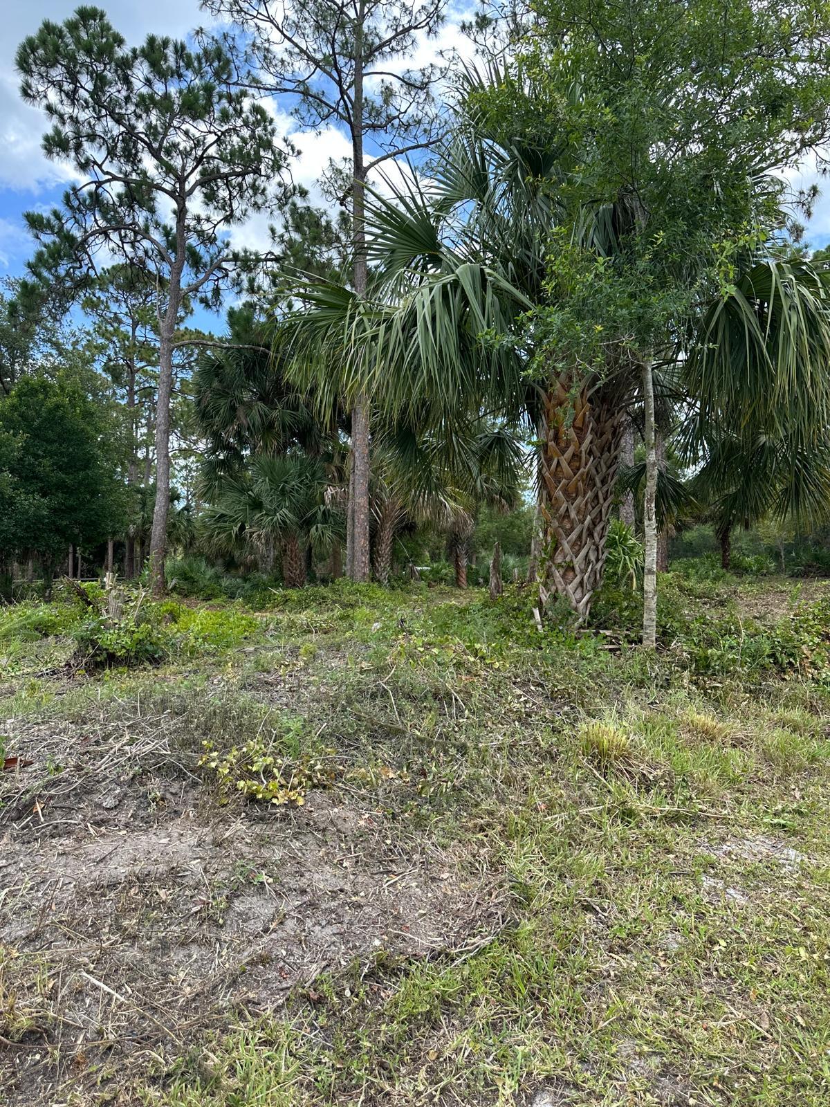 10620 91st Street Property Photo 1