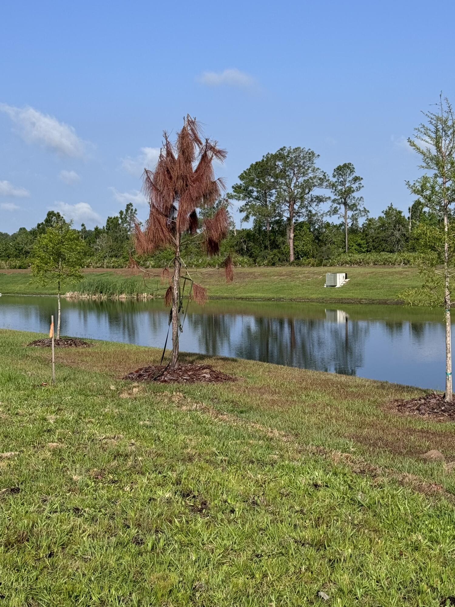 3015 Sanctuary Drive Property Photo 10