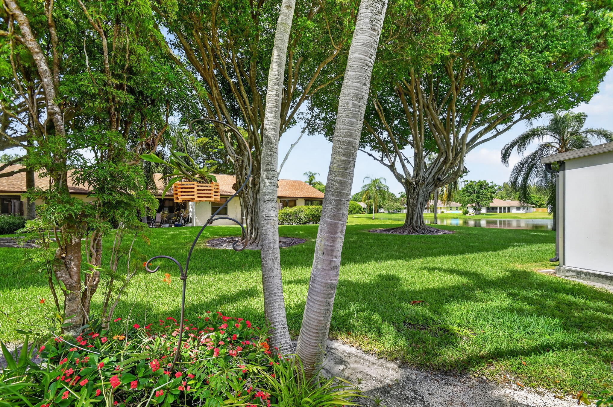 51 Via De Casas Norte Property Photo 38