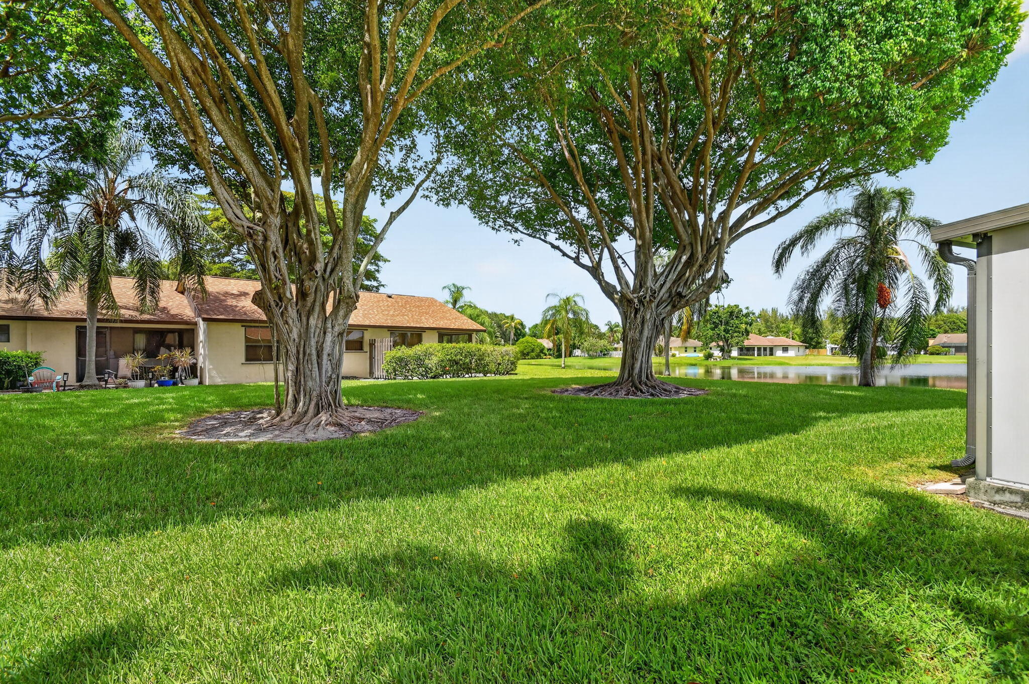 51 Via De Casas Norte Property Photo 39