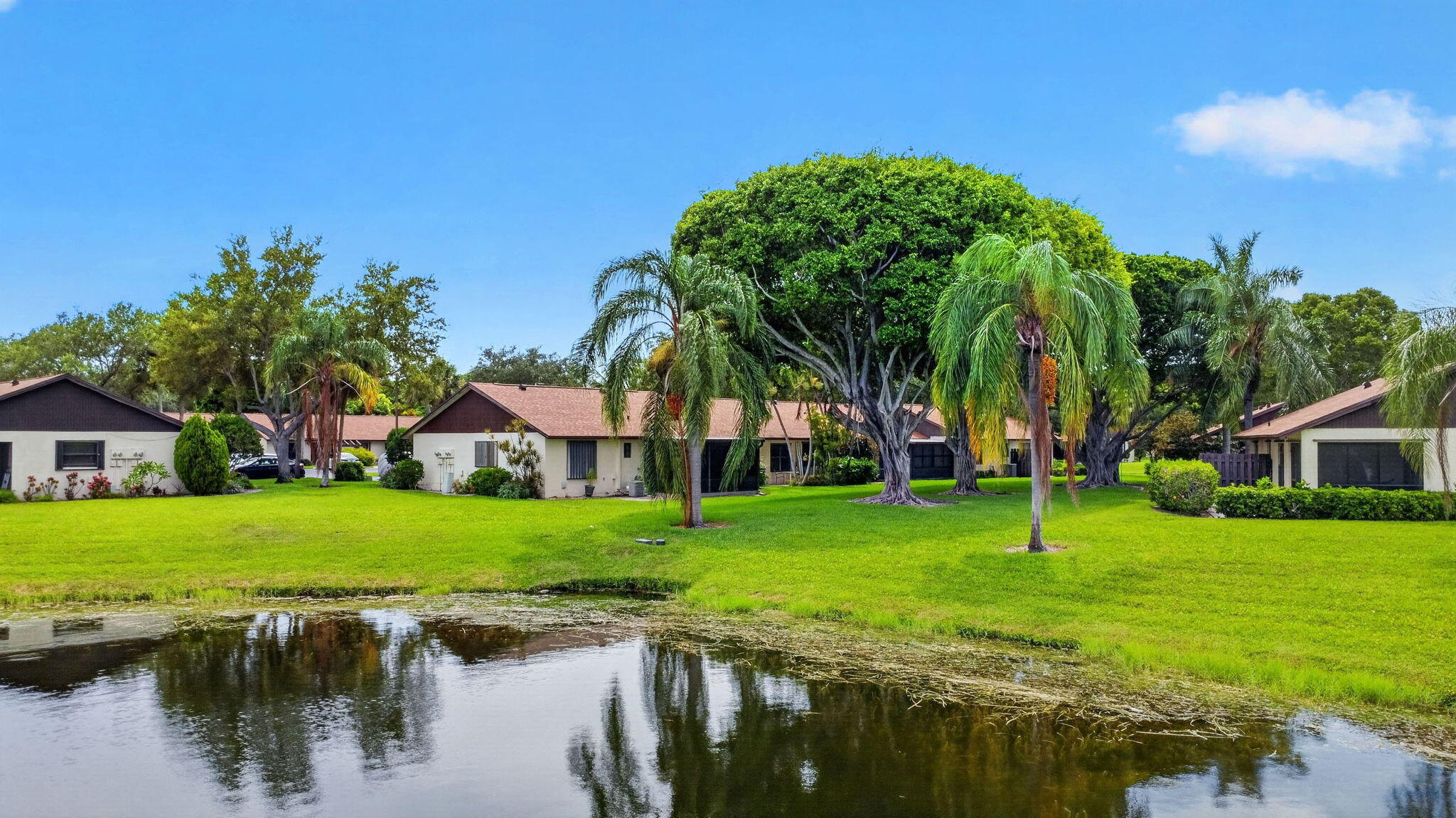 51 Via De Casas Norte Property Photo 46