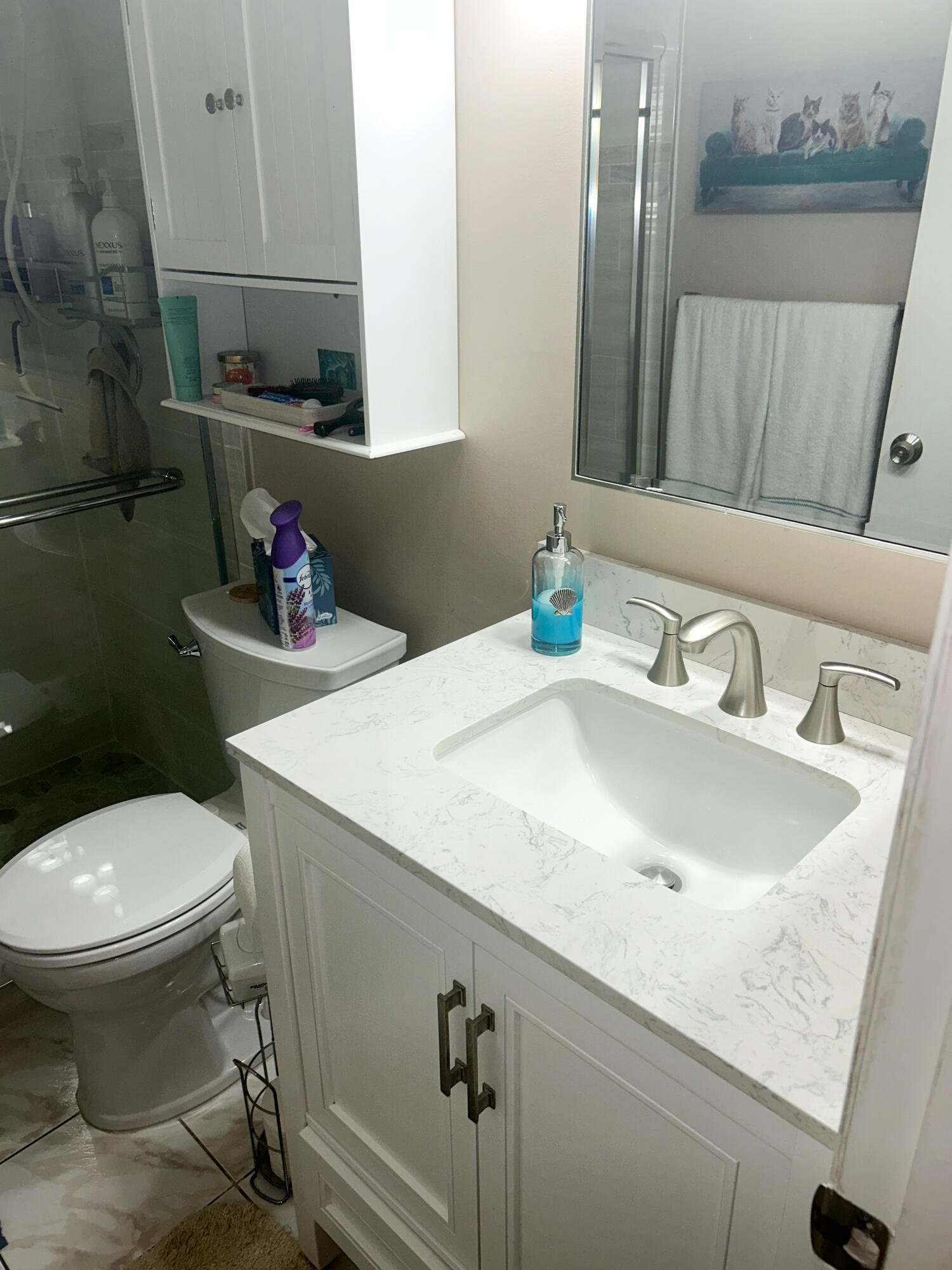 824 Sky Pine Way C1 Property Photo 27