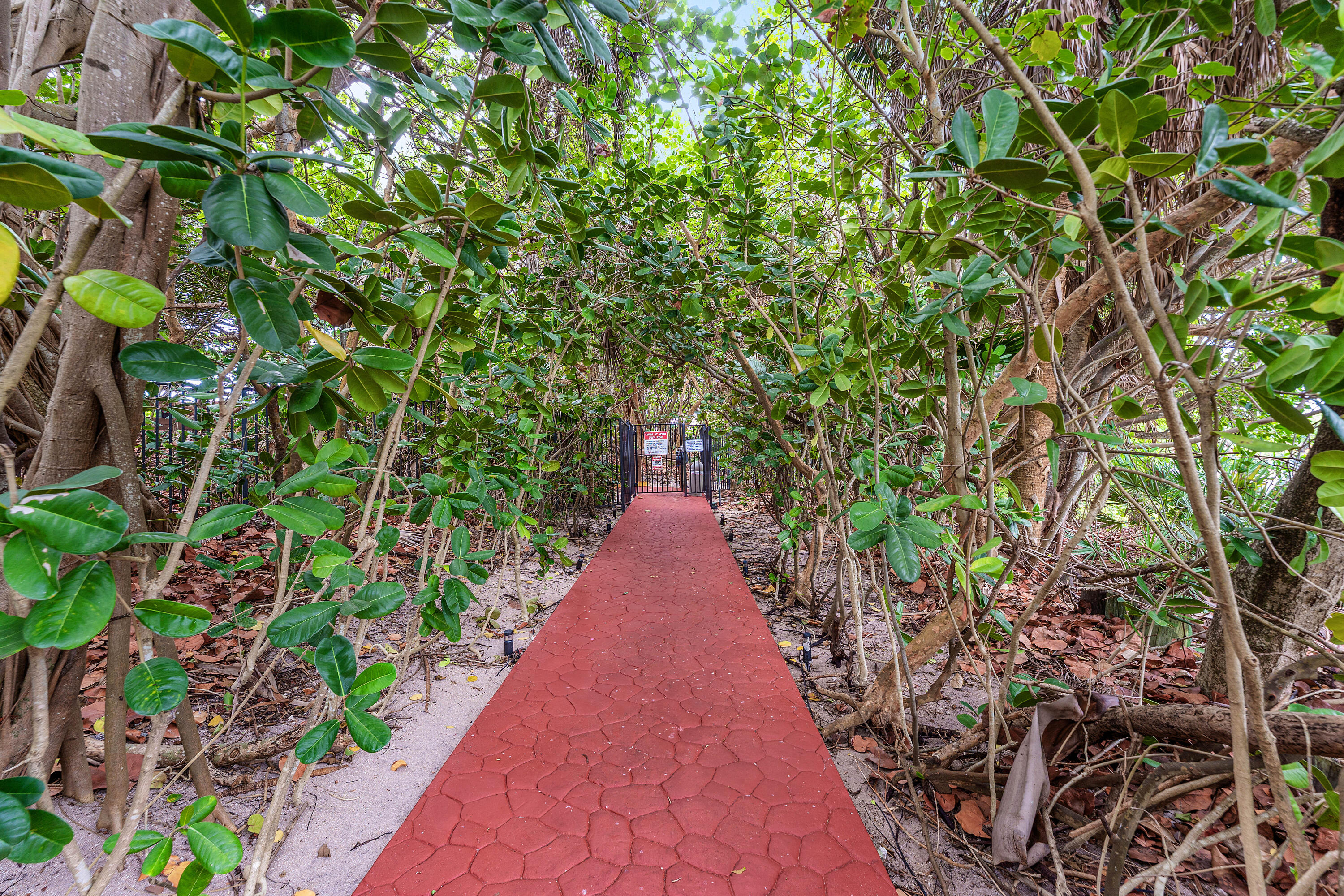 3908 S Ocean Boulevard T-1 Property Photo 65
