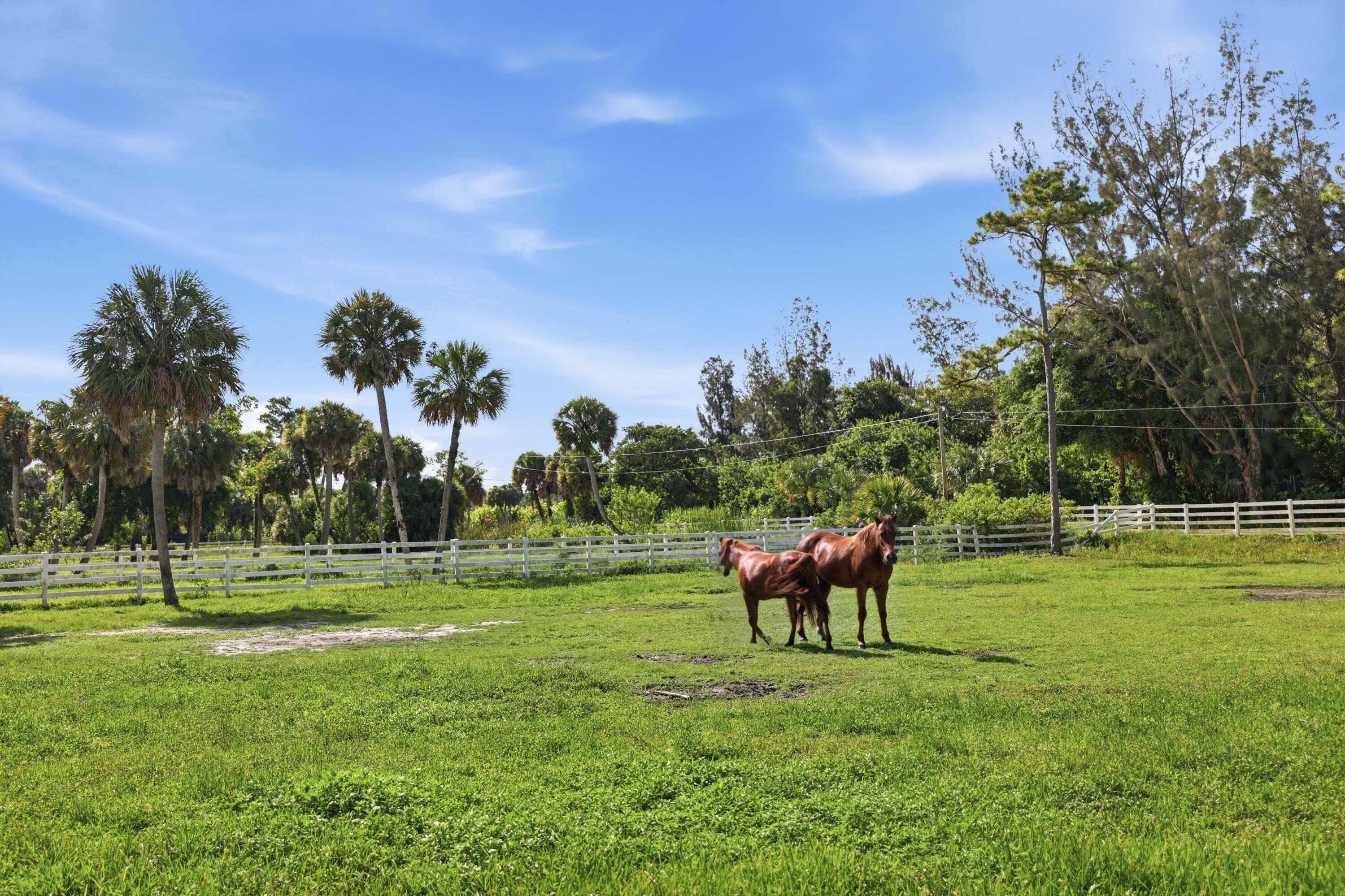 14095 Biddex Road Property Photo 45