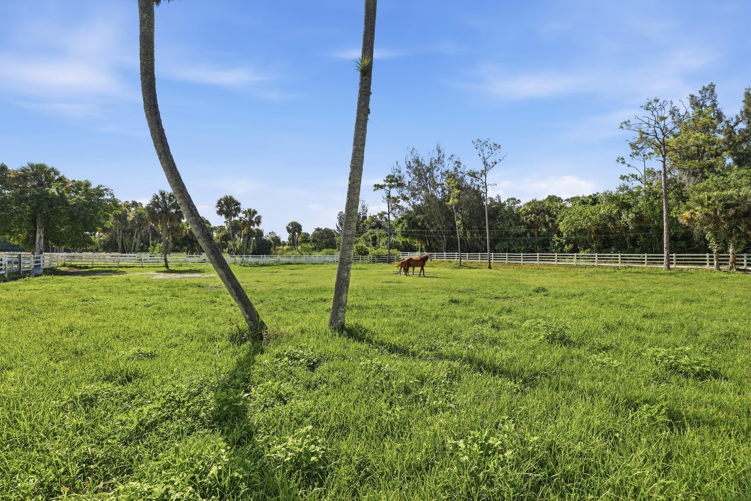 14095 Biddex Road Property Photo 49