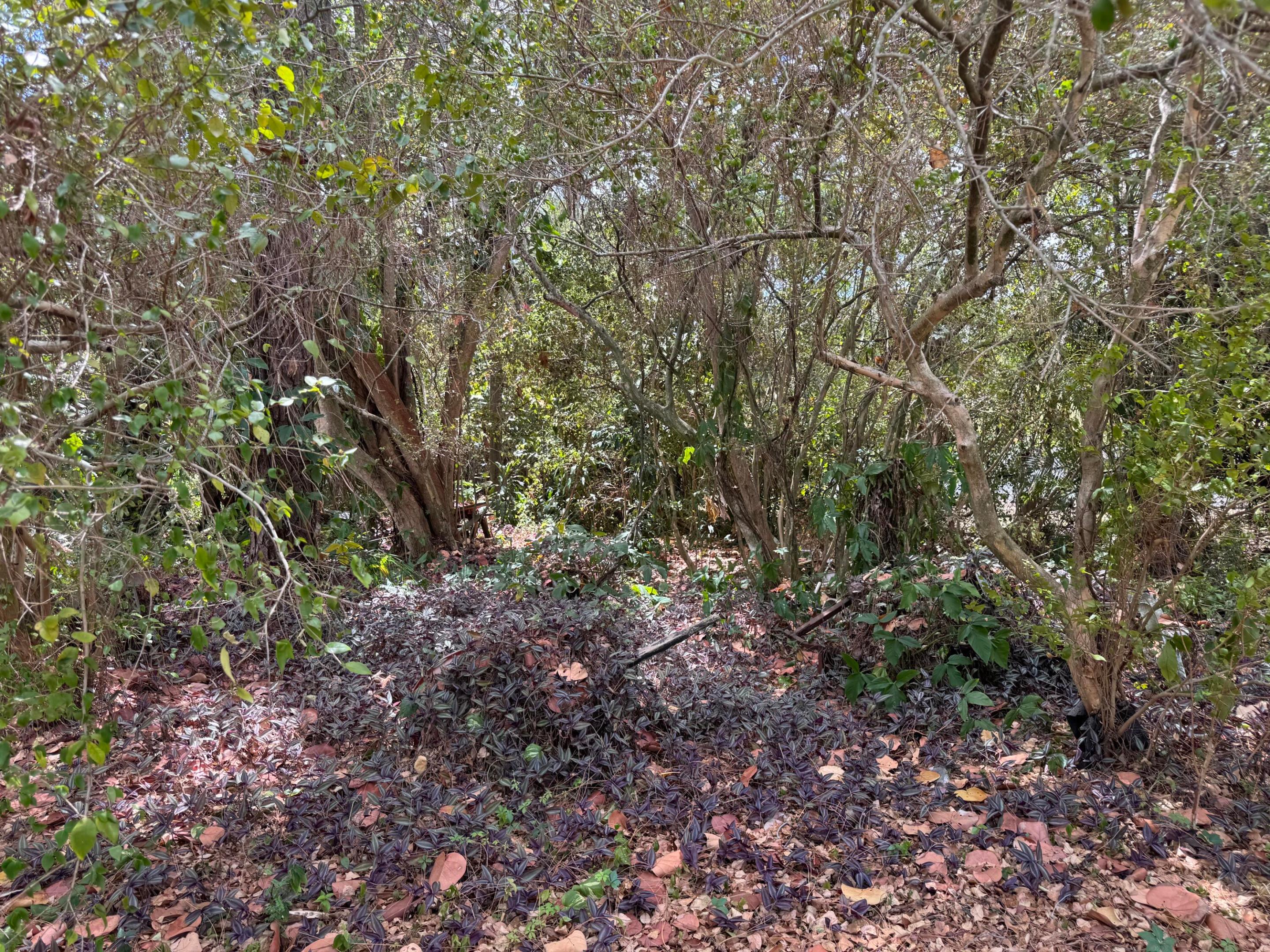 3358 S Jog Road Property Photo 2