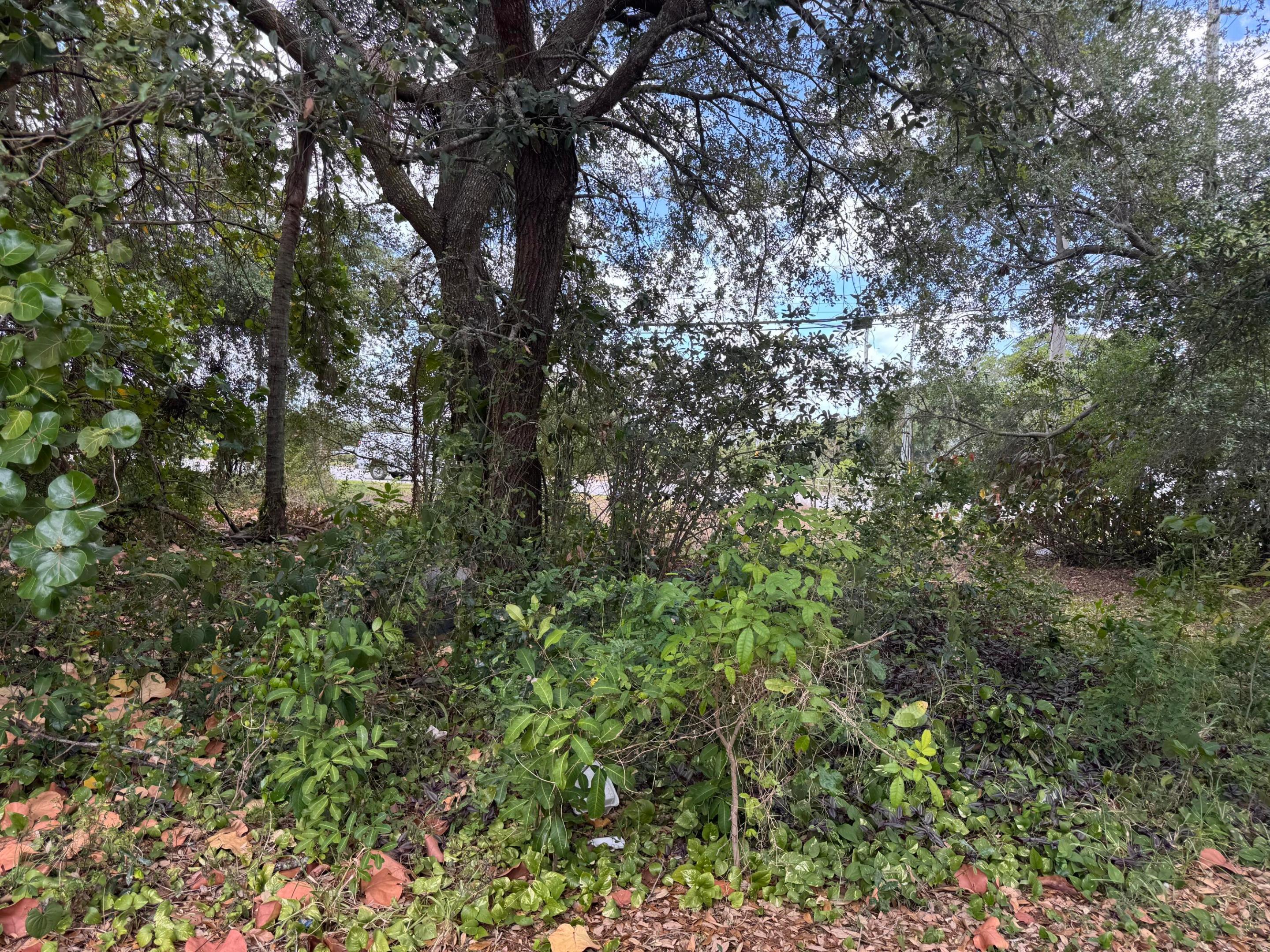 3358 S Jog Road Property Photo 7