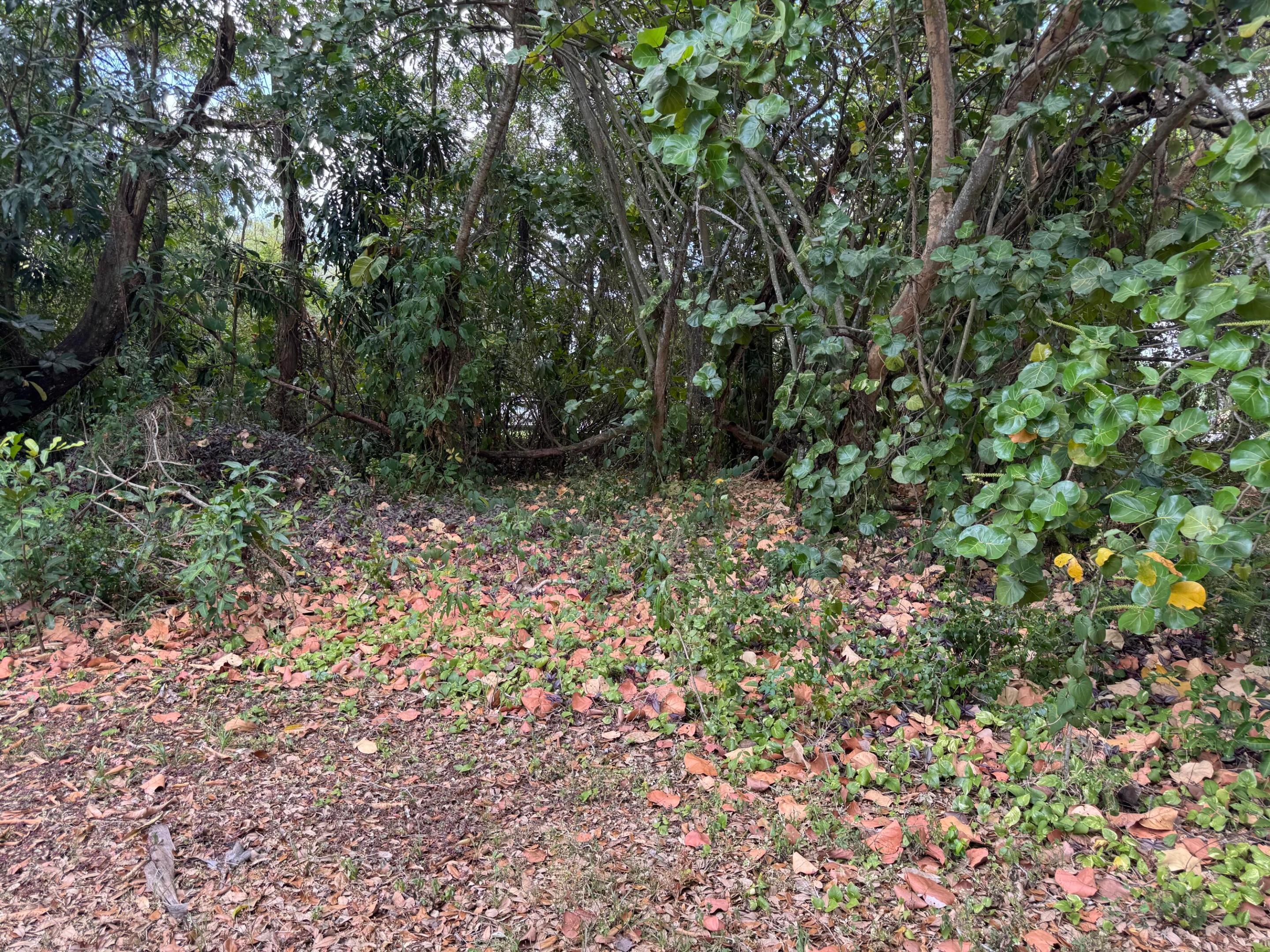 3358 S Jog Road Property Photo 8