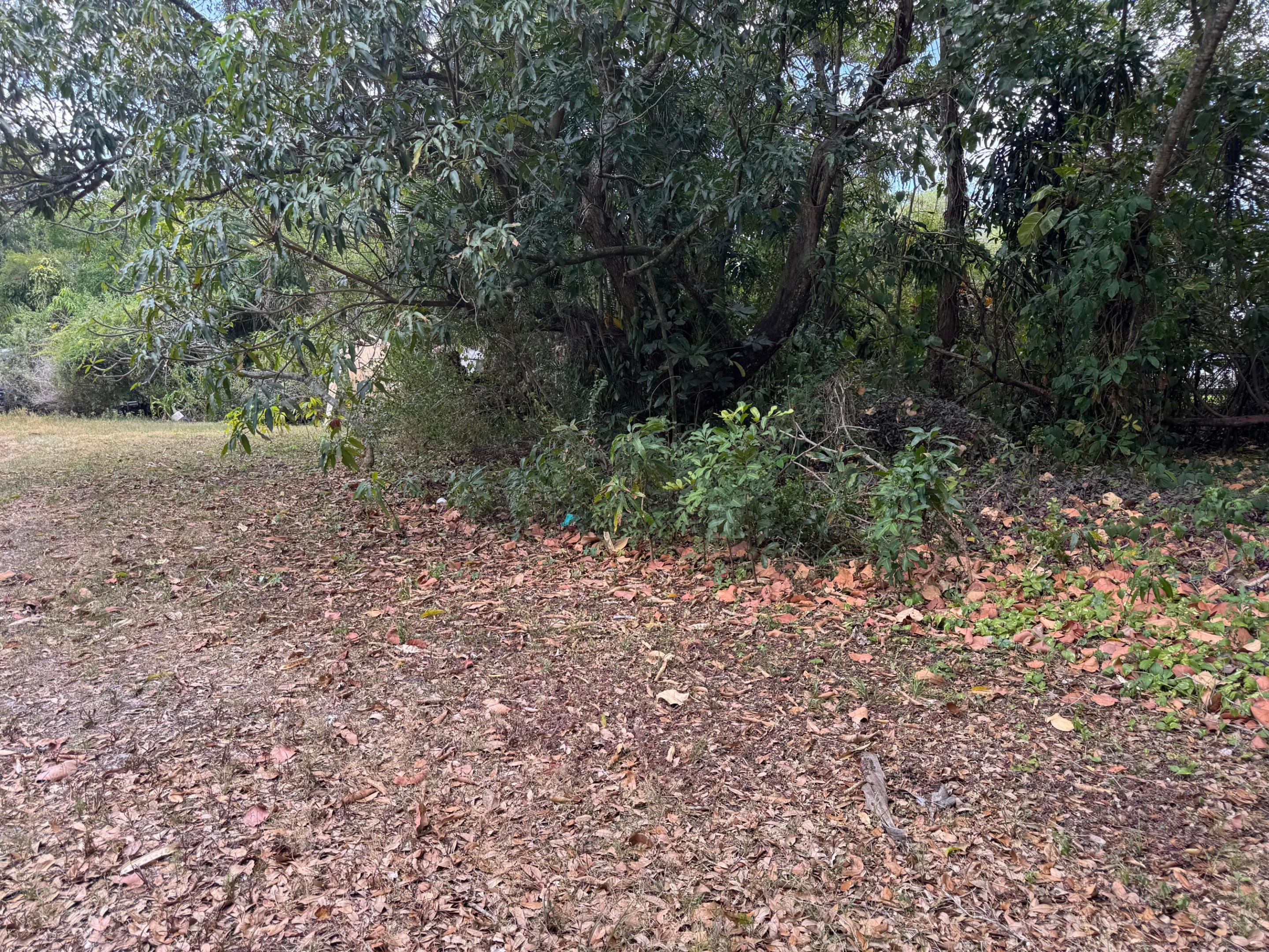 3358 S Jog Road Property Photo 9