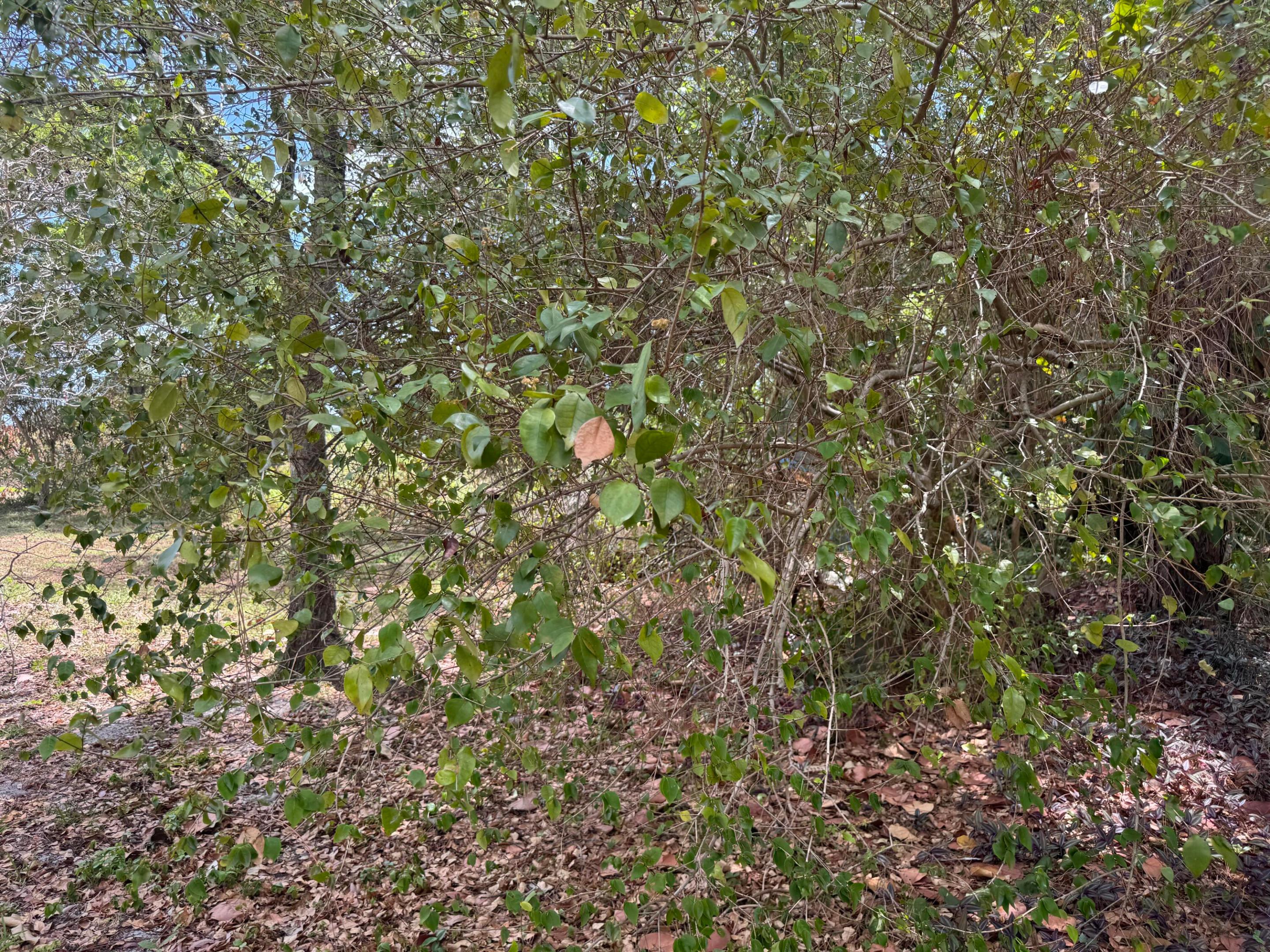 3358 S Jog Road Property Photo 13