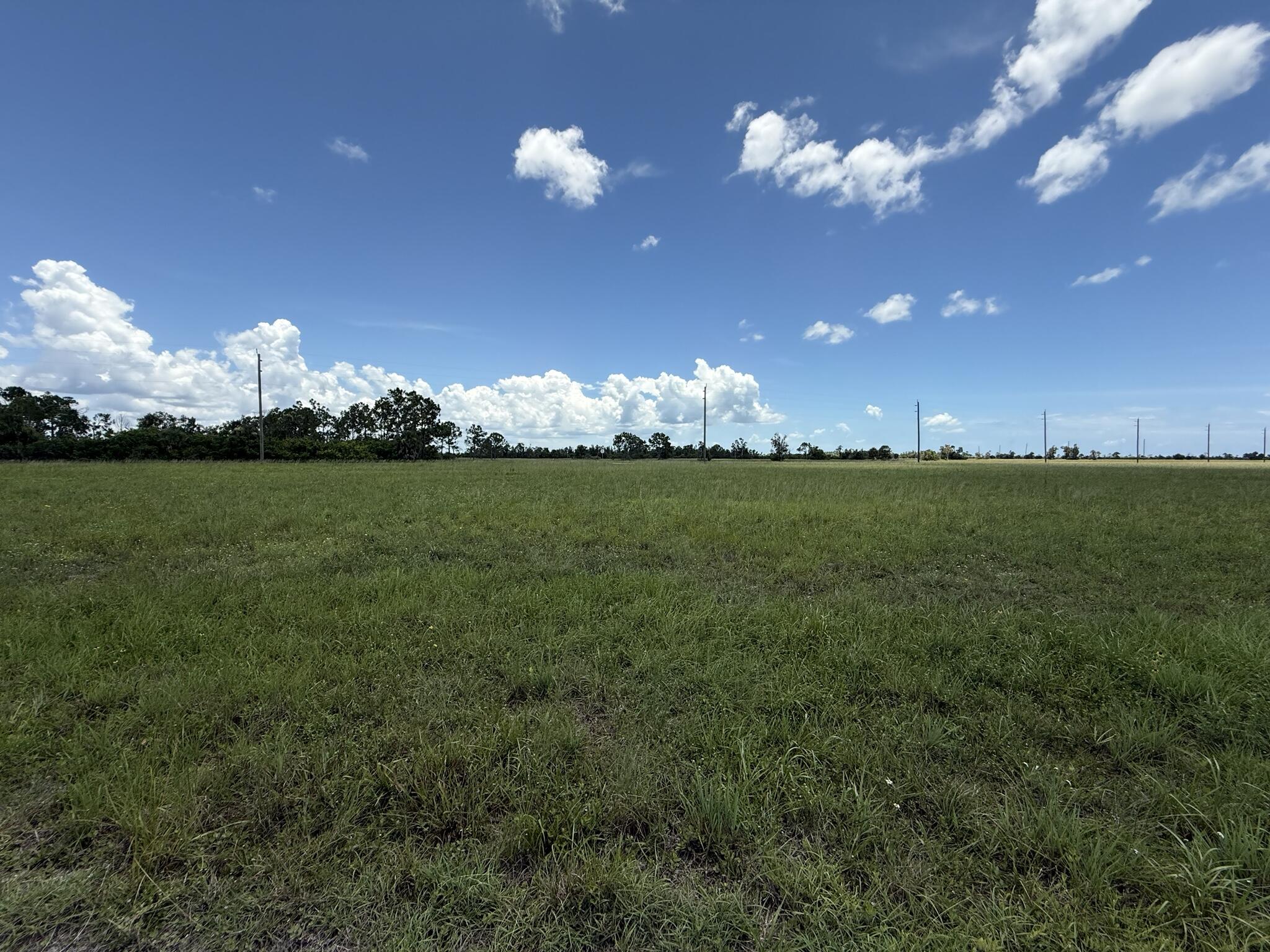 12439 GREENLING Way Property Photo 1