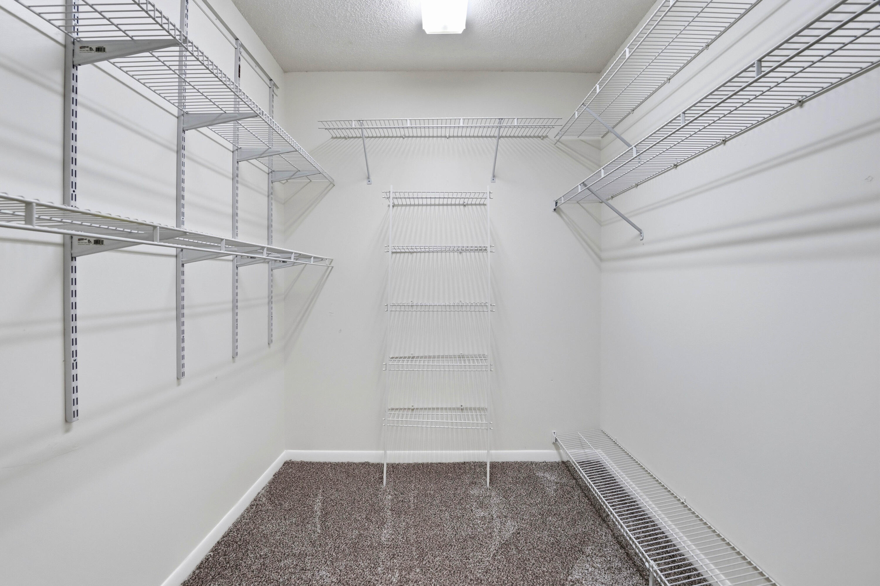 5226 Europa Drive C Property Photo 29