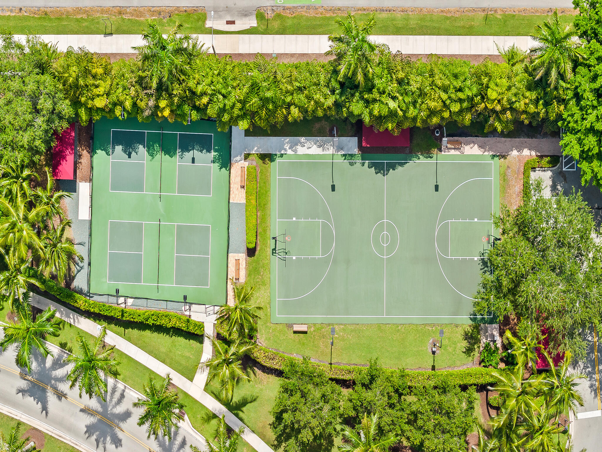 10800 Blue Palm Street Property Photo 50