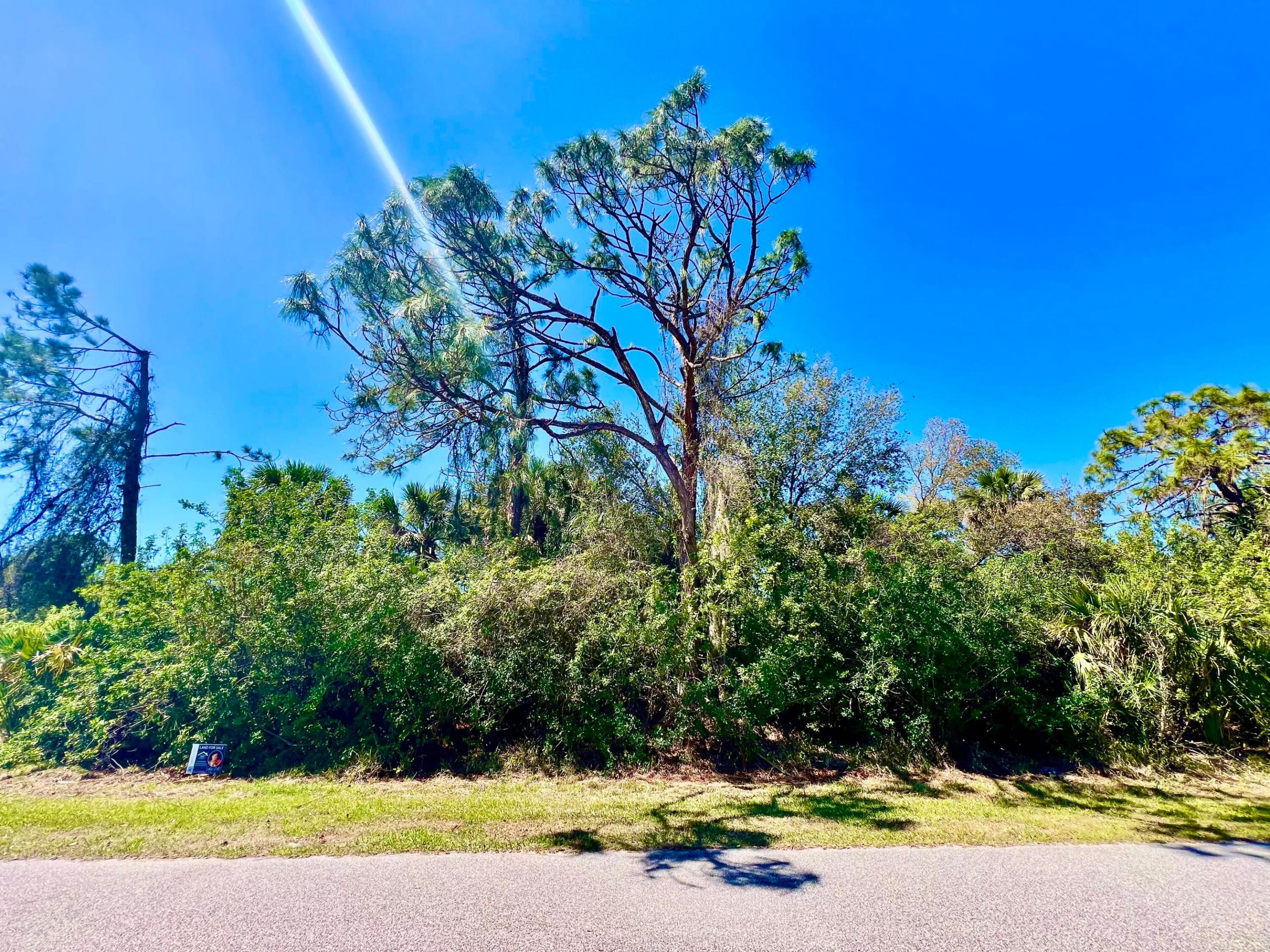 12142 Joyner Avenue Property Photo 1